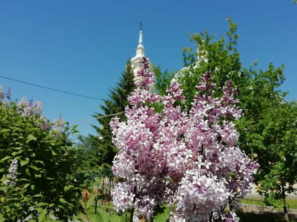 Православный храм Церковь Илии Пророка на Пороховых, Санкт‑Петербург, фото