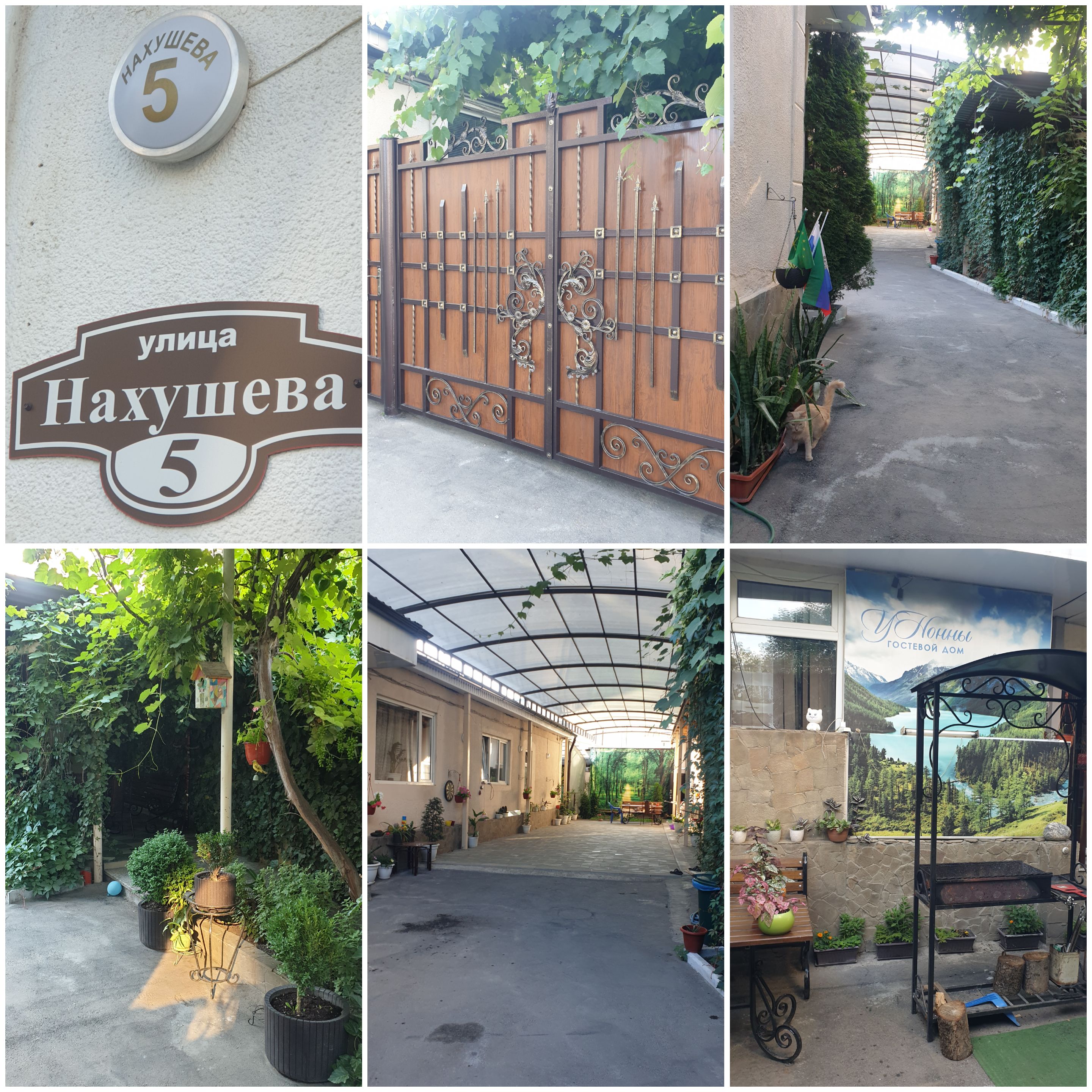 Фото У Нонны