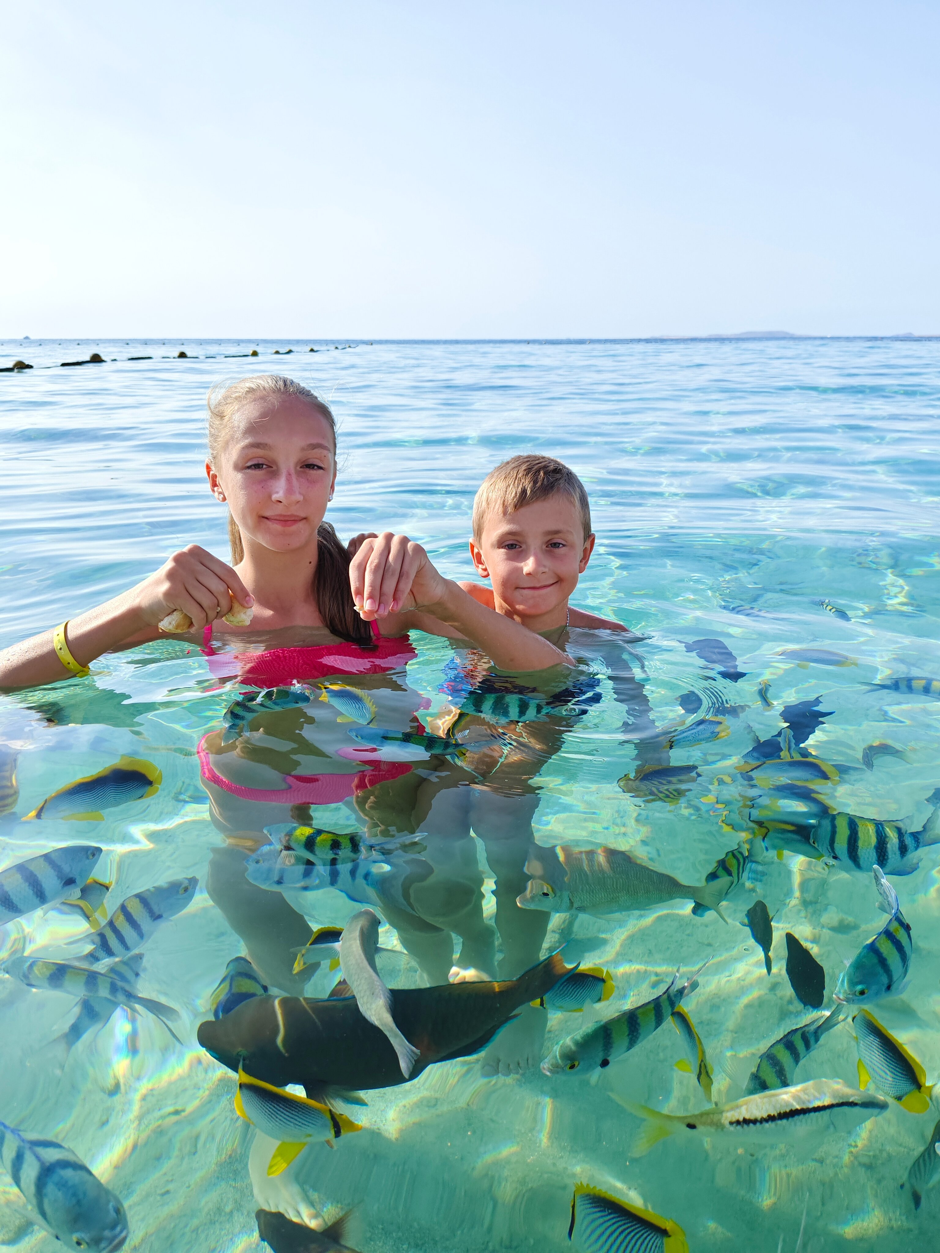 Фото Sentido Reef Oasis Senses Aqua Park Resort