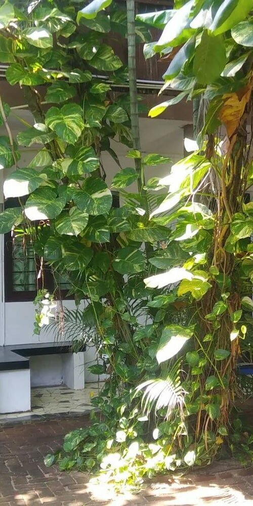 Фото D&j Stamford Hotel - Hostel