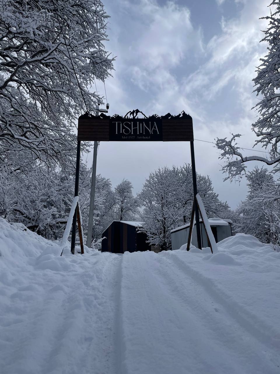 Фото Тишина