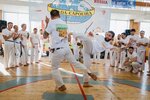 Capoeira Abada (Sumskoy Drive, 19А), sports club