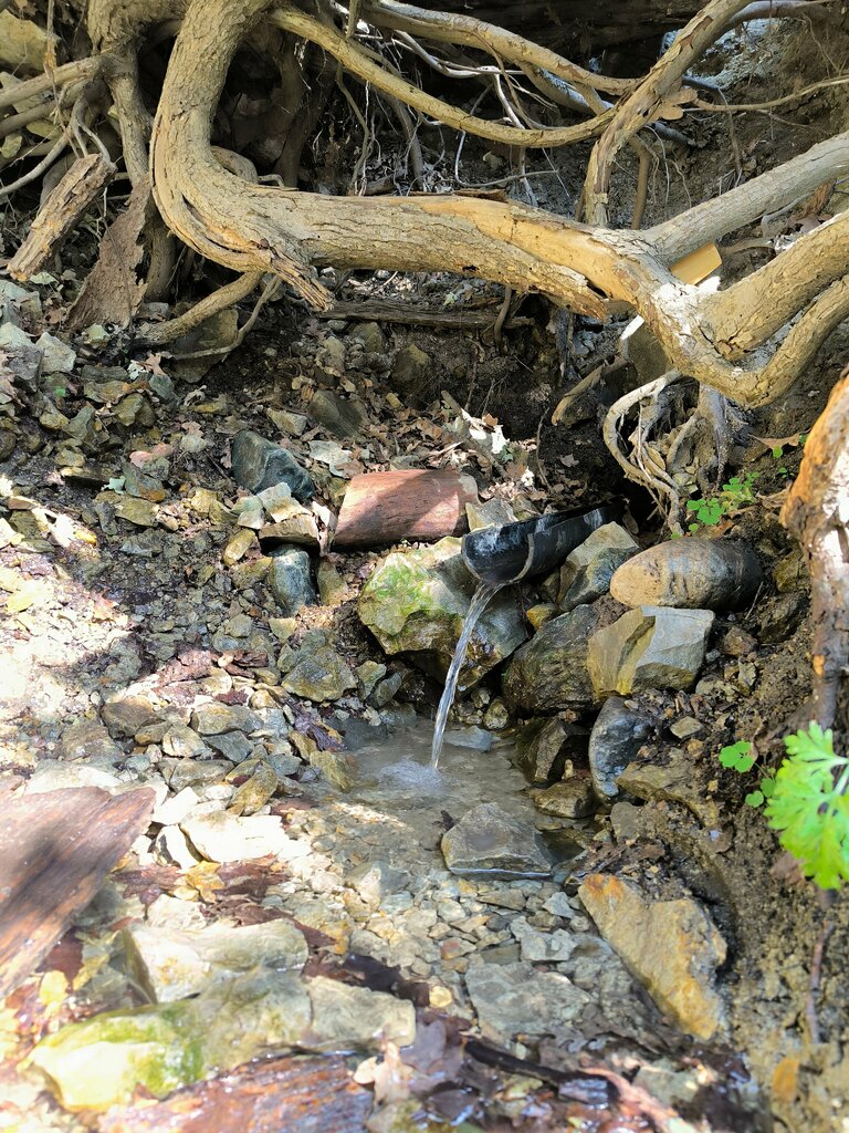 Spring, stream родник Орлы, Volgograd Oblast, photo