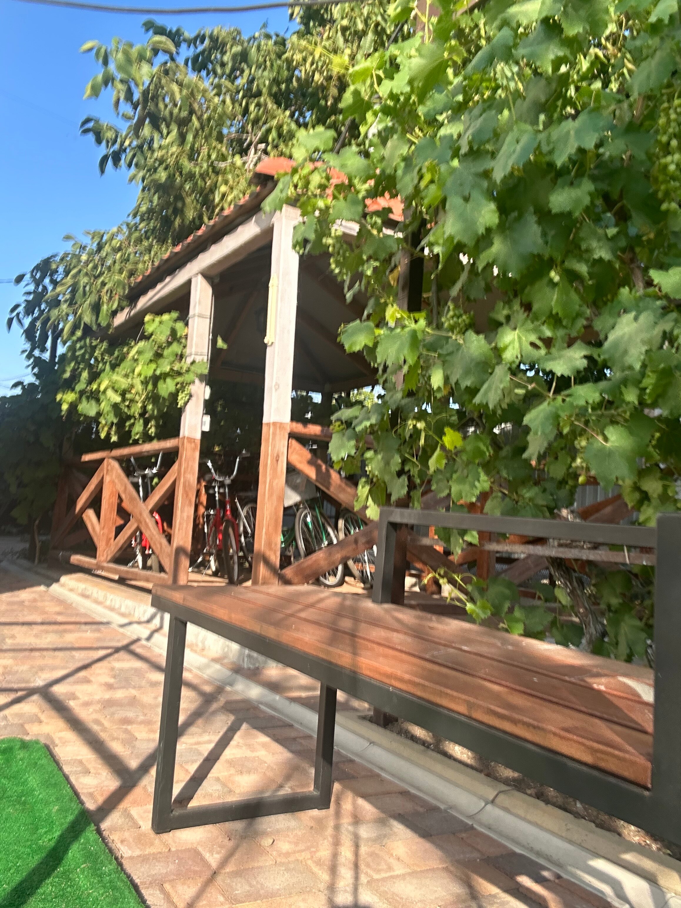 Фото 38 Попугаев