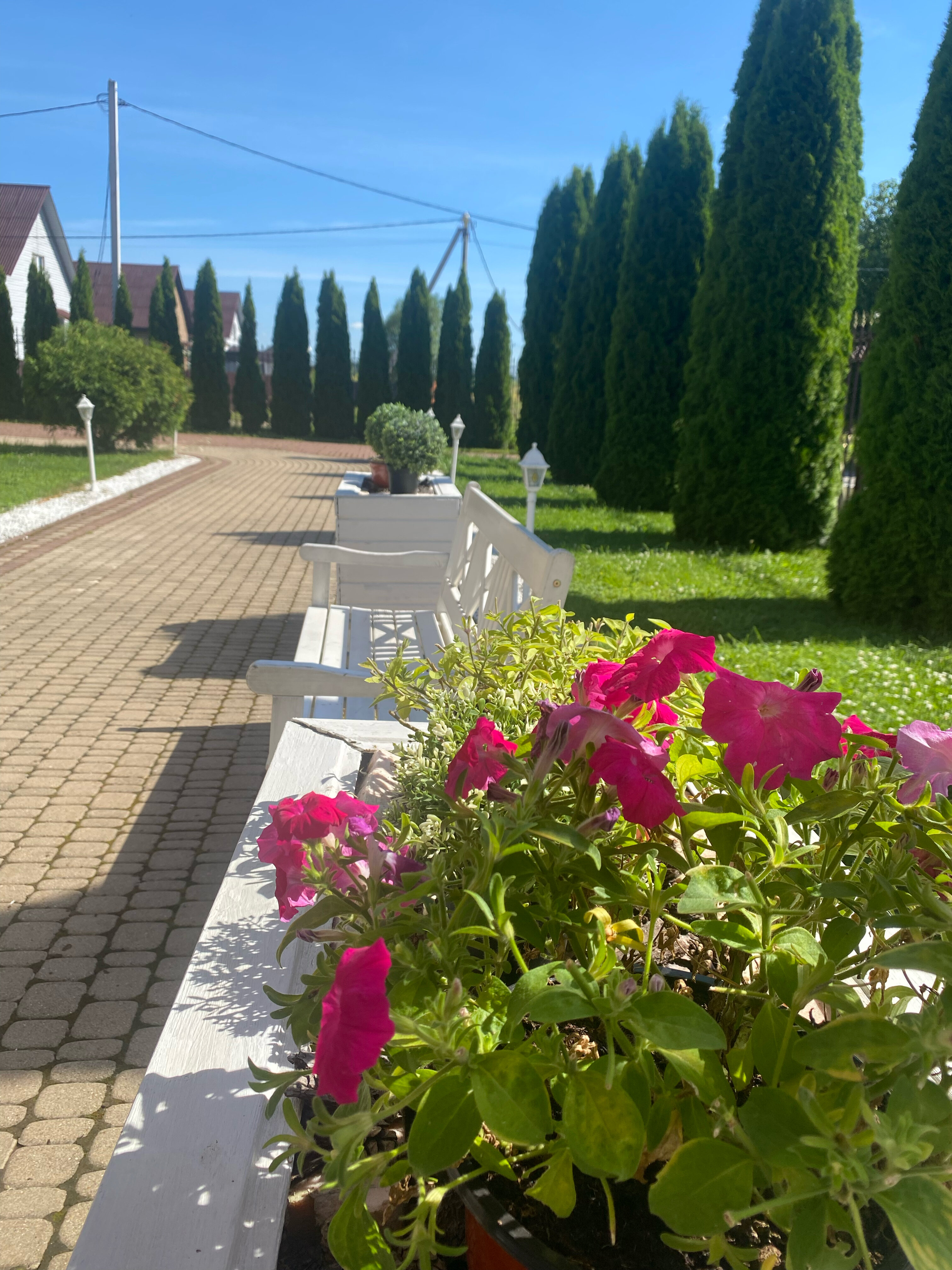 Фото Вилла Отель Прованс