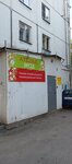 Астра (Aurora Street, 106), fur studio