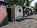 Lemonade (Republic Avenue, 13), bebidas sin alcohol