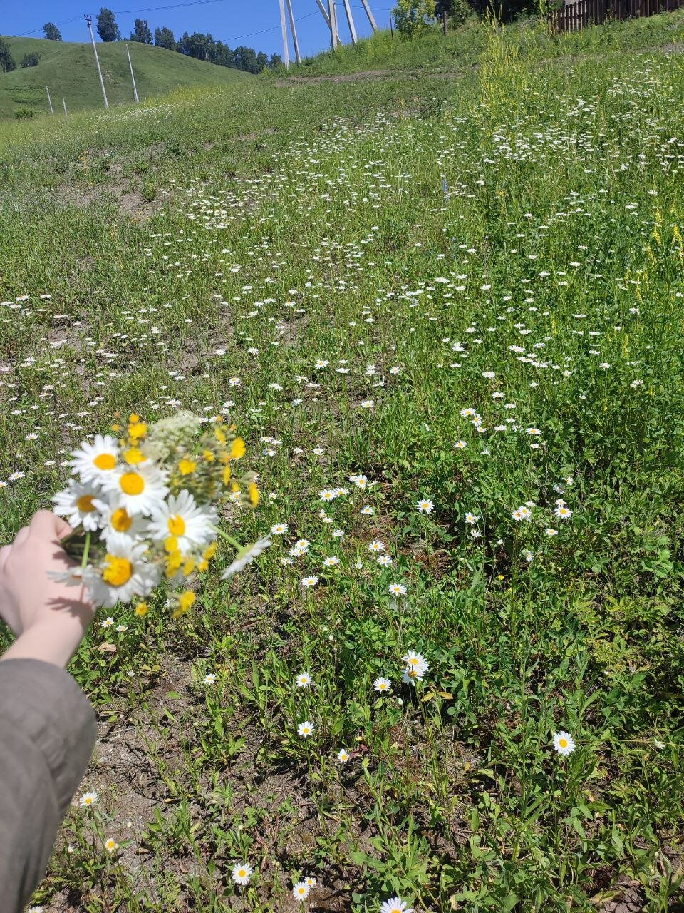 Фото Горная