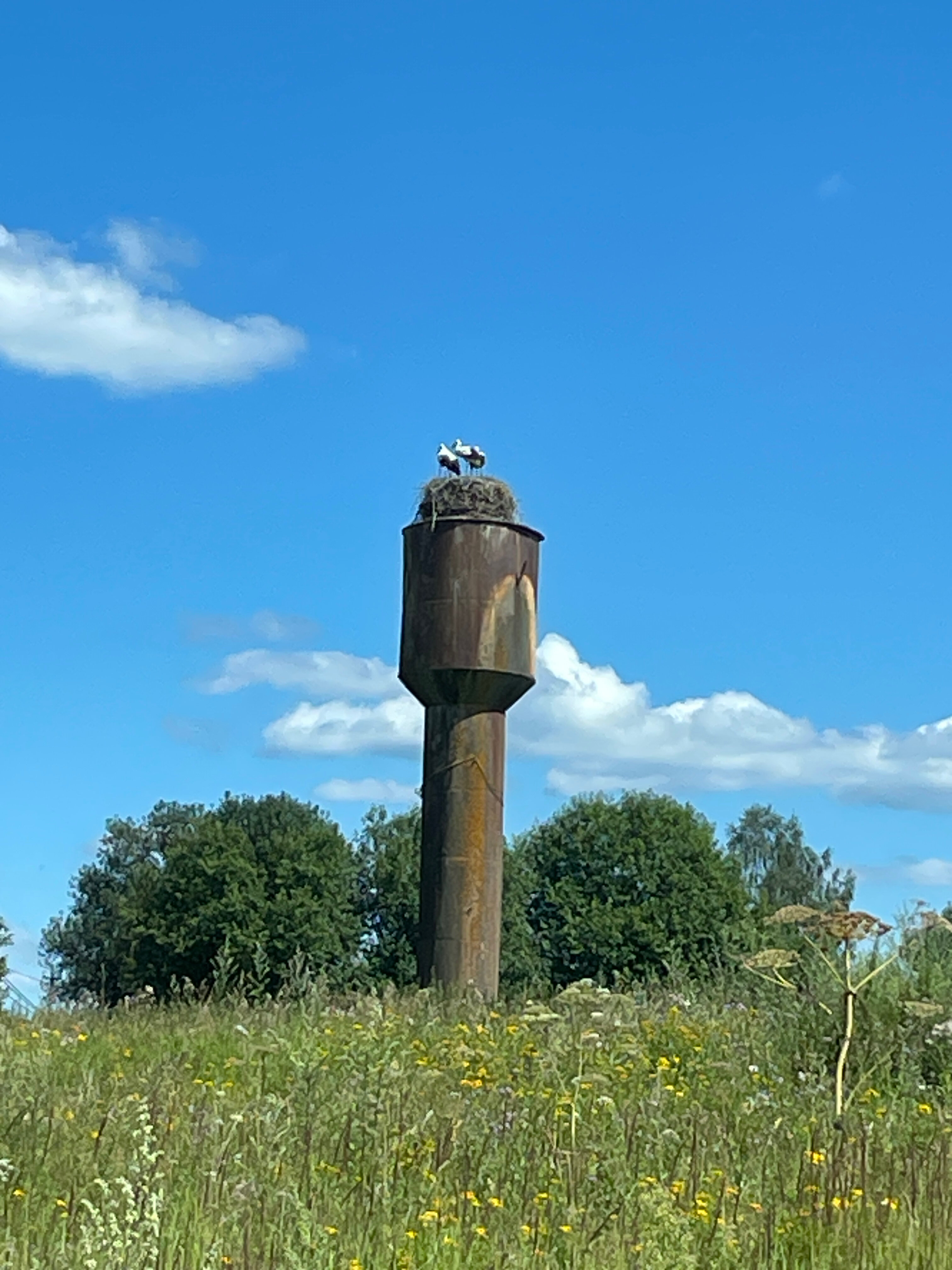 Фото Центр эко туризма Ферма М2