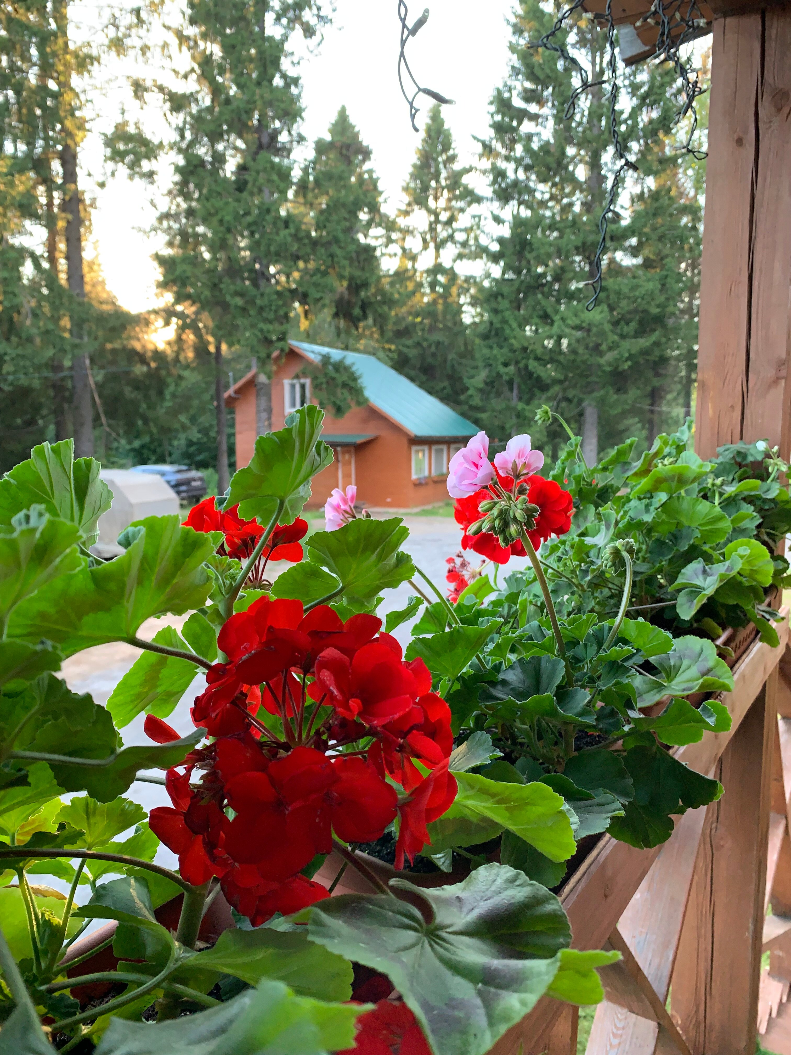 Фото Онежская гора