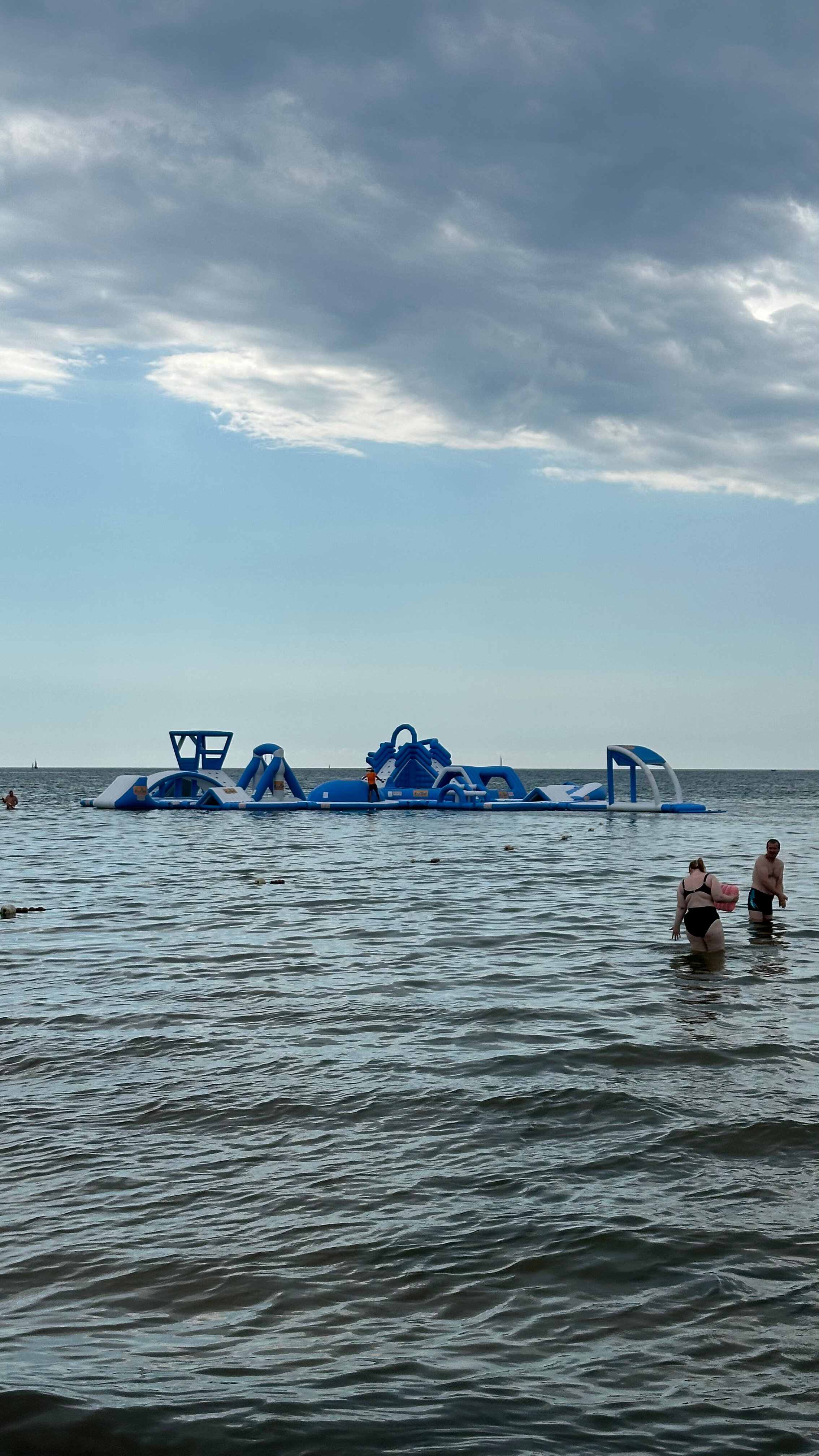 Фото Монарх