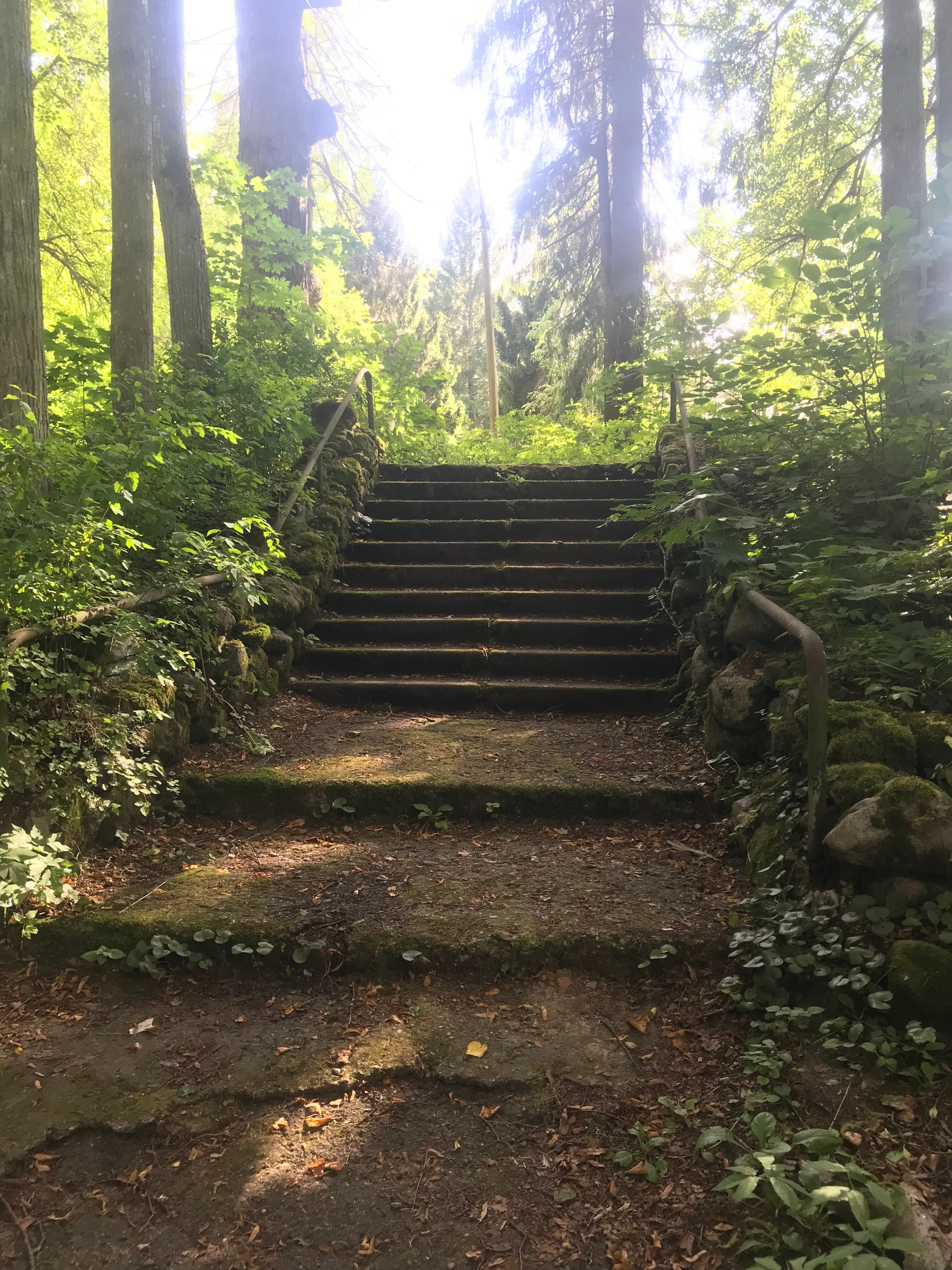 Фото Санаторий Митино