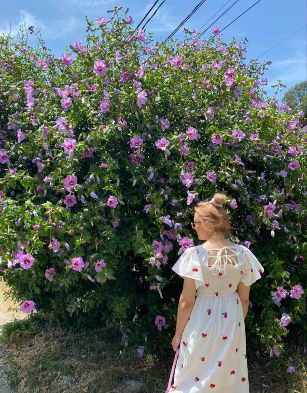 Фото Горное Ущелье