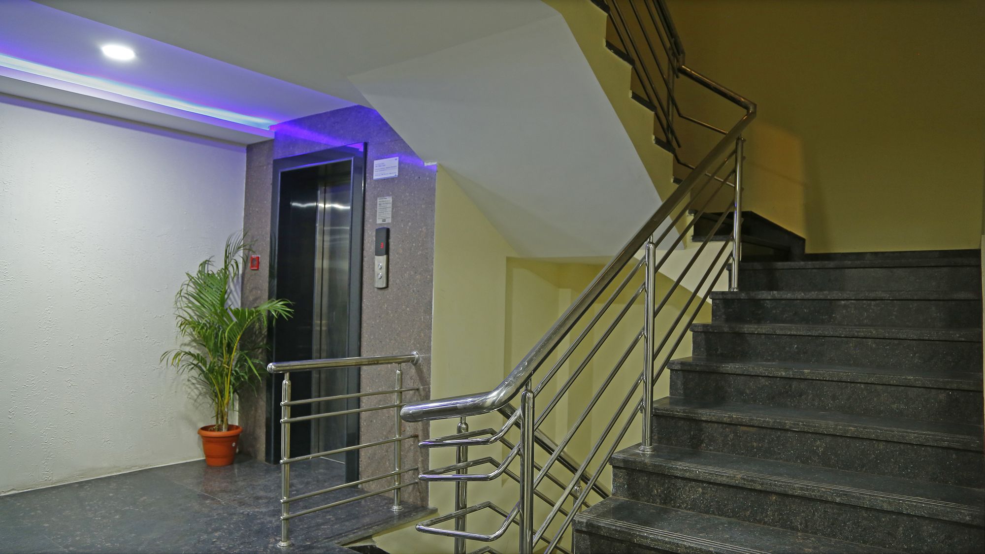 Фото Shoba Elite