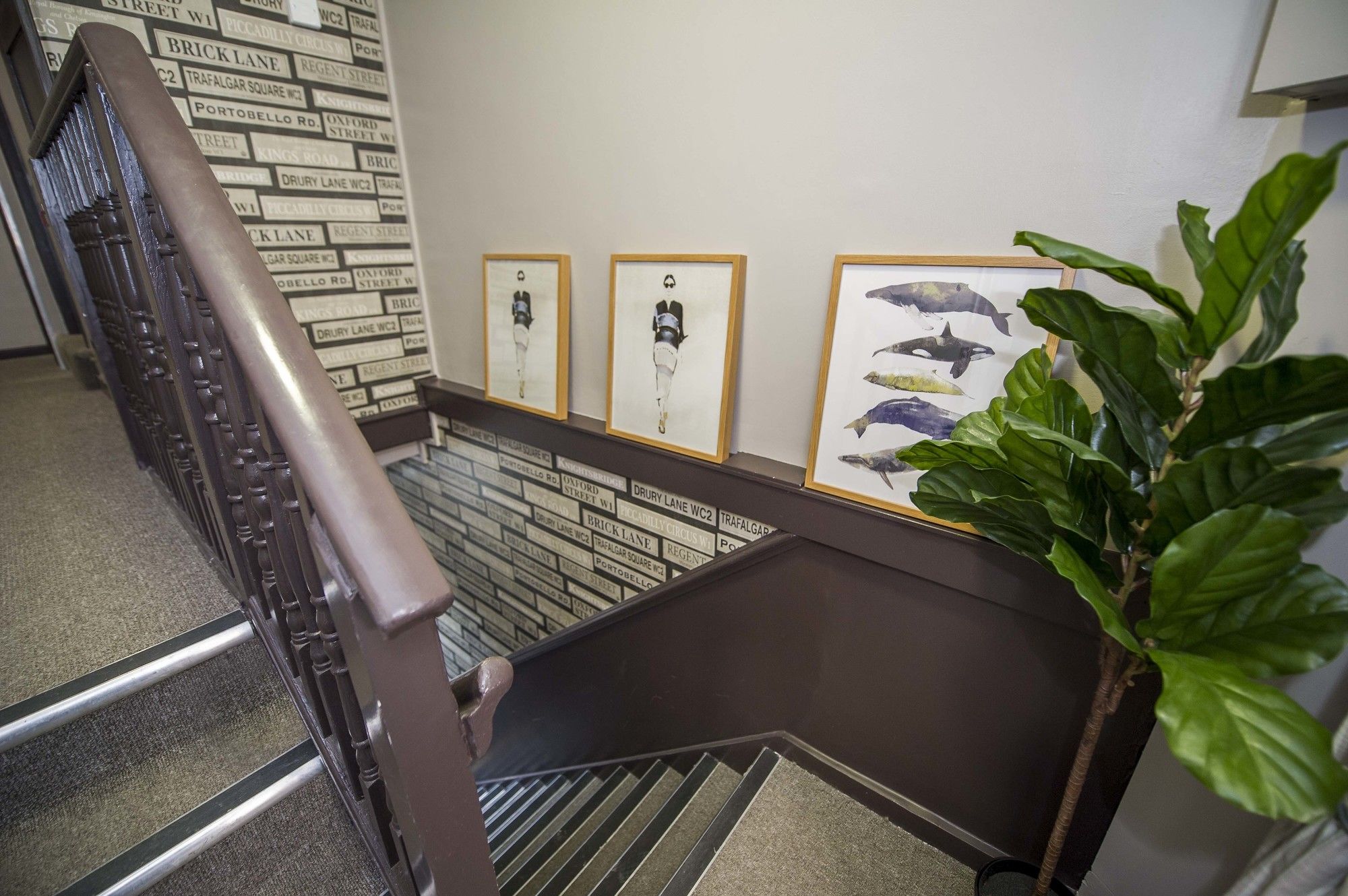 Фото Monopoly Accommodations