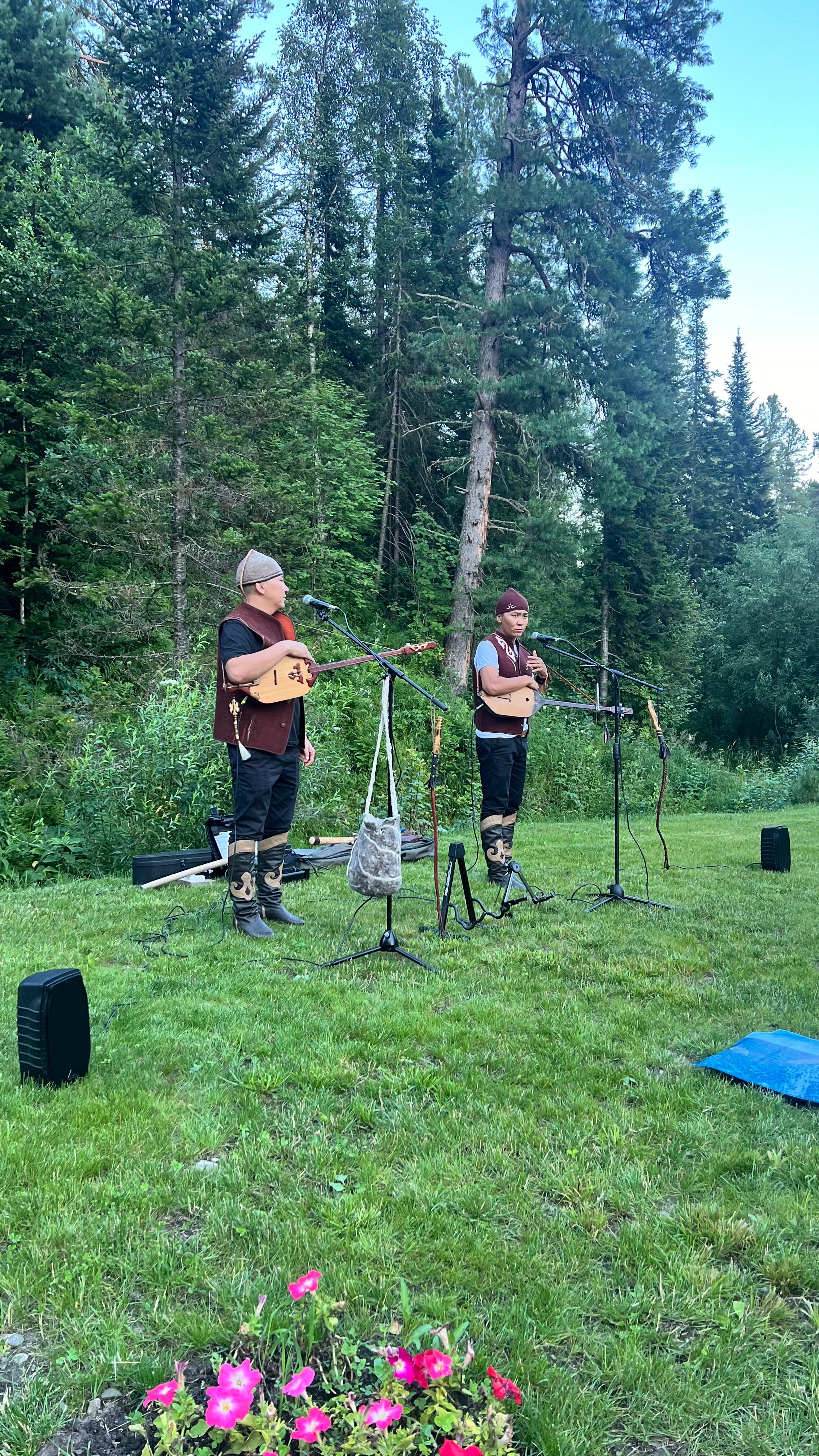 Фото Forest Glamp