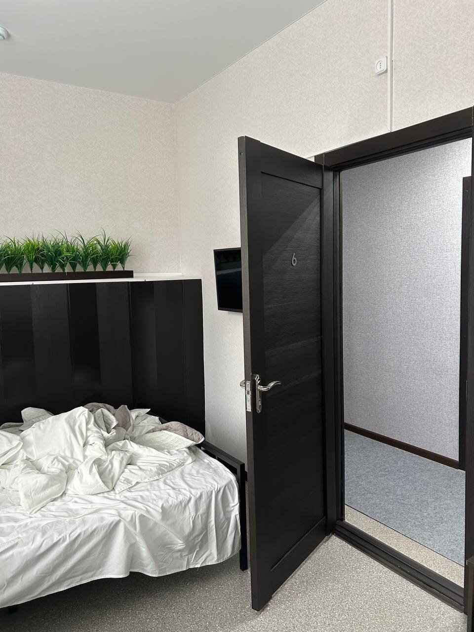 Фото Колибри