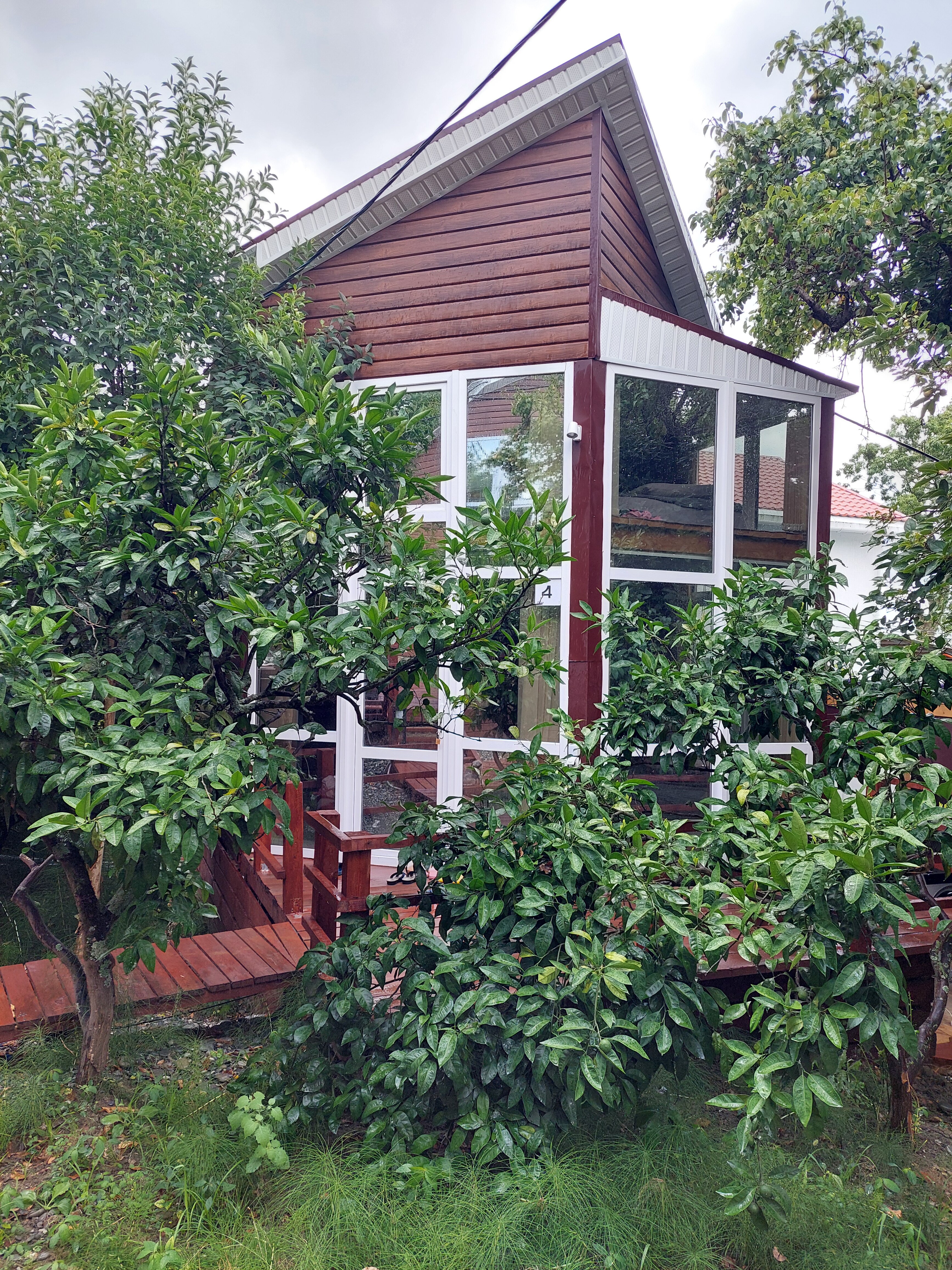 Фото Сочинский берег