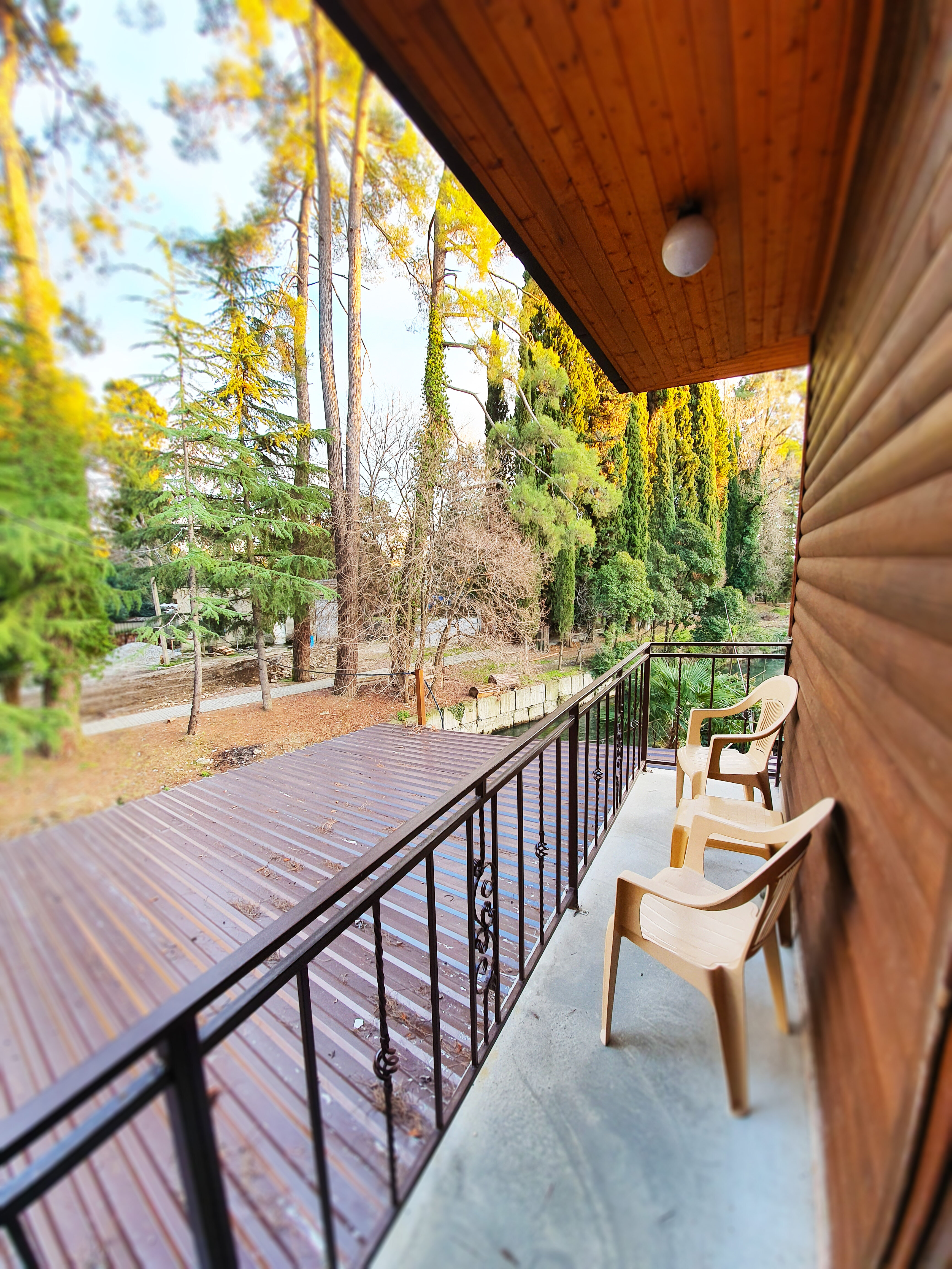 Фото Гостевой дом Пальма