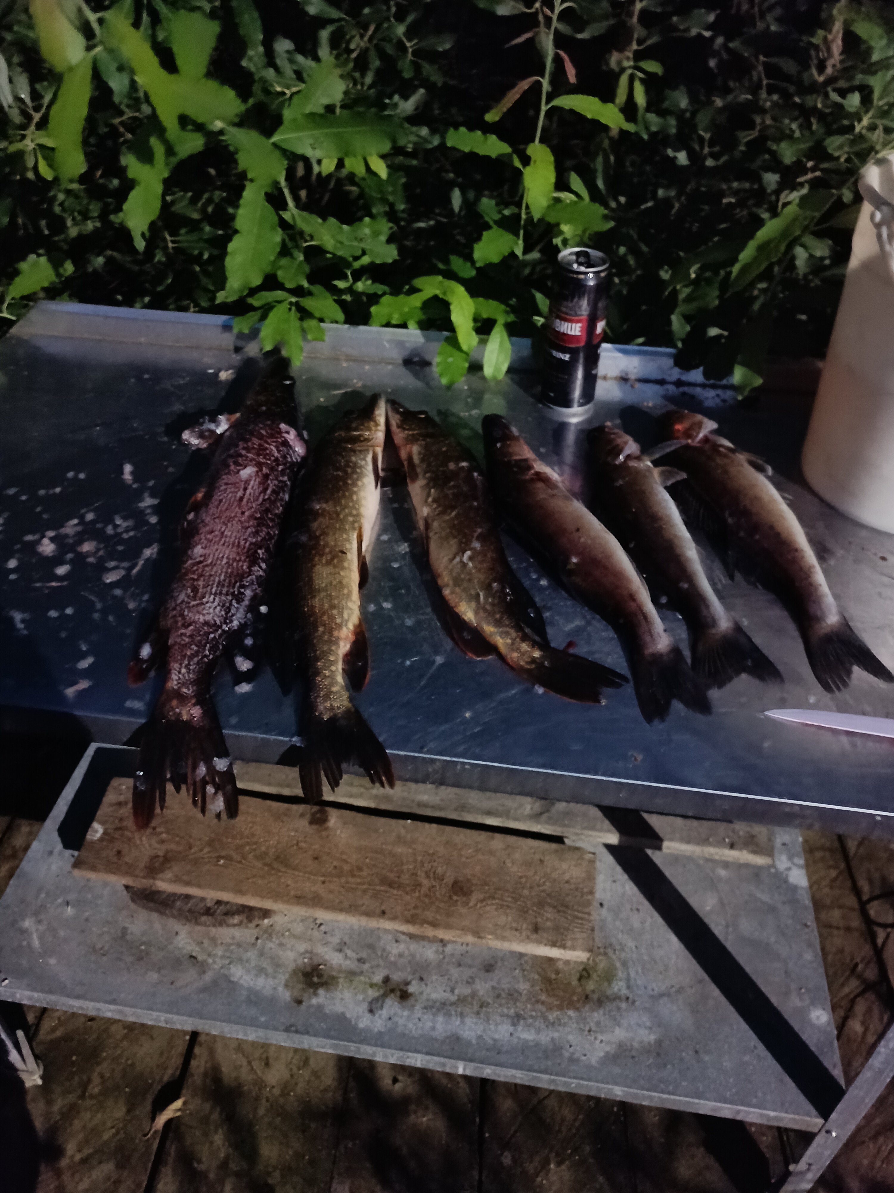 Фото Дальние дачи