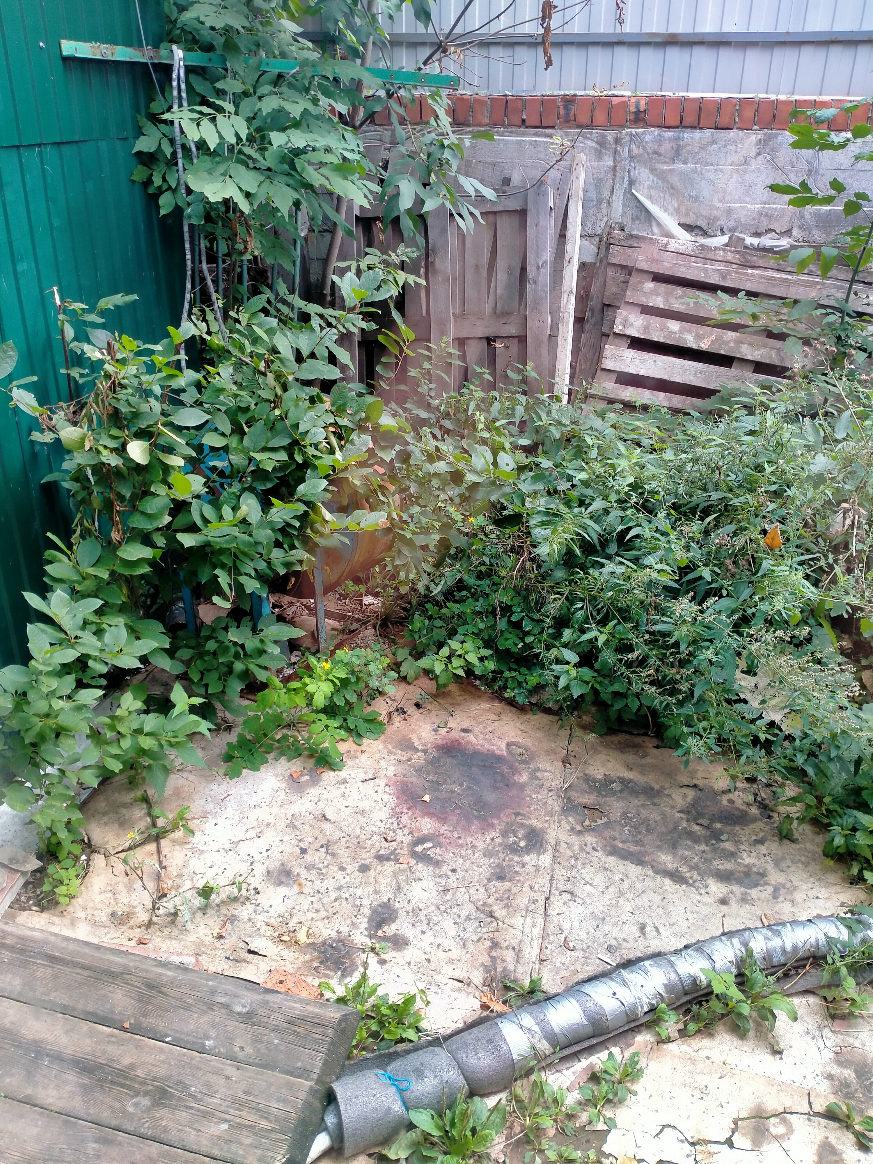 Фото Парадис