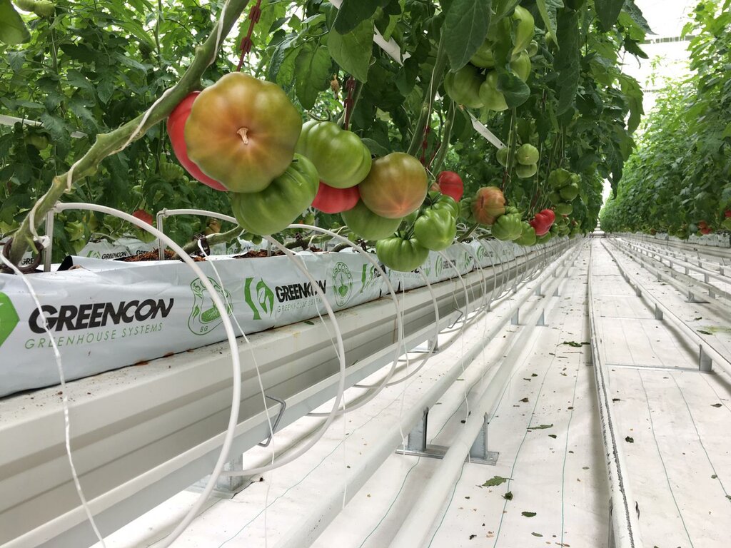 Heating equipment and systems Genfog, Istanbul, photo