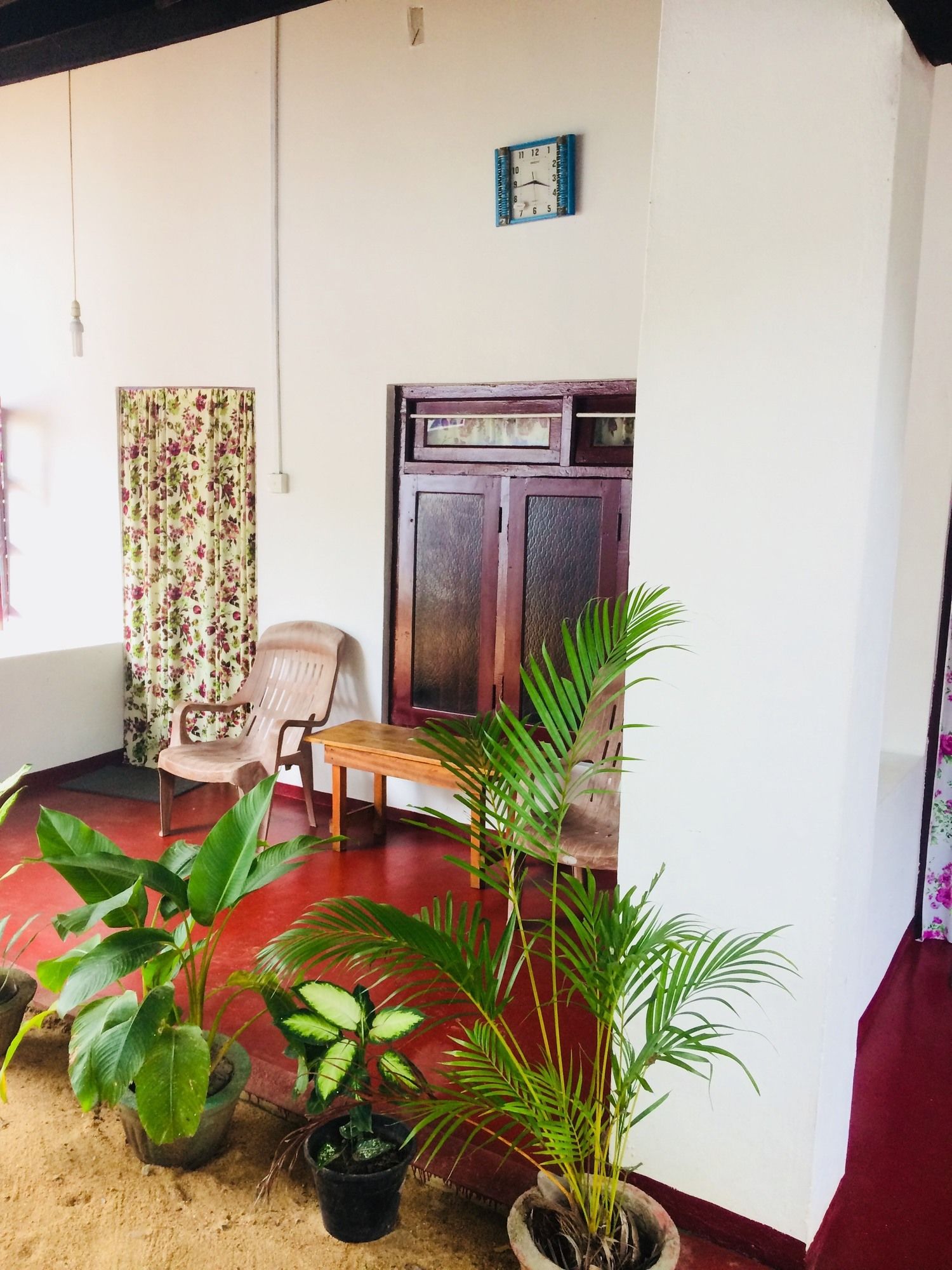 Фото Tropicana homestay