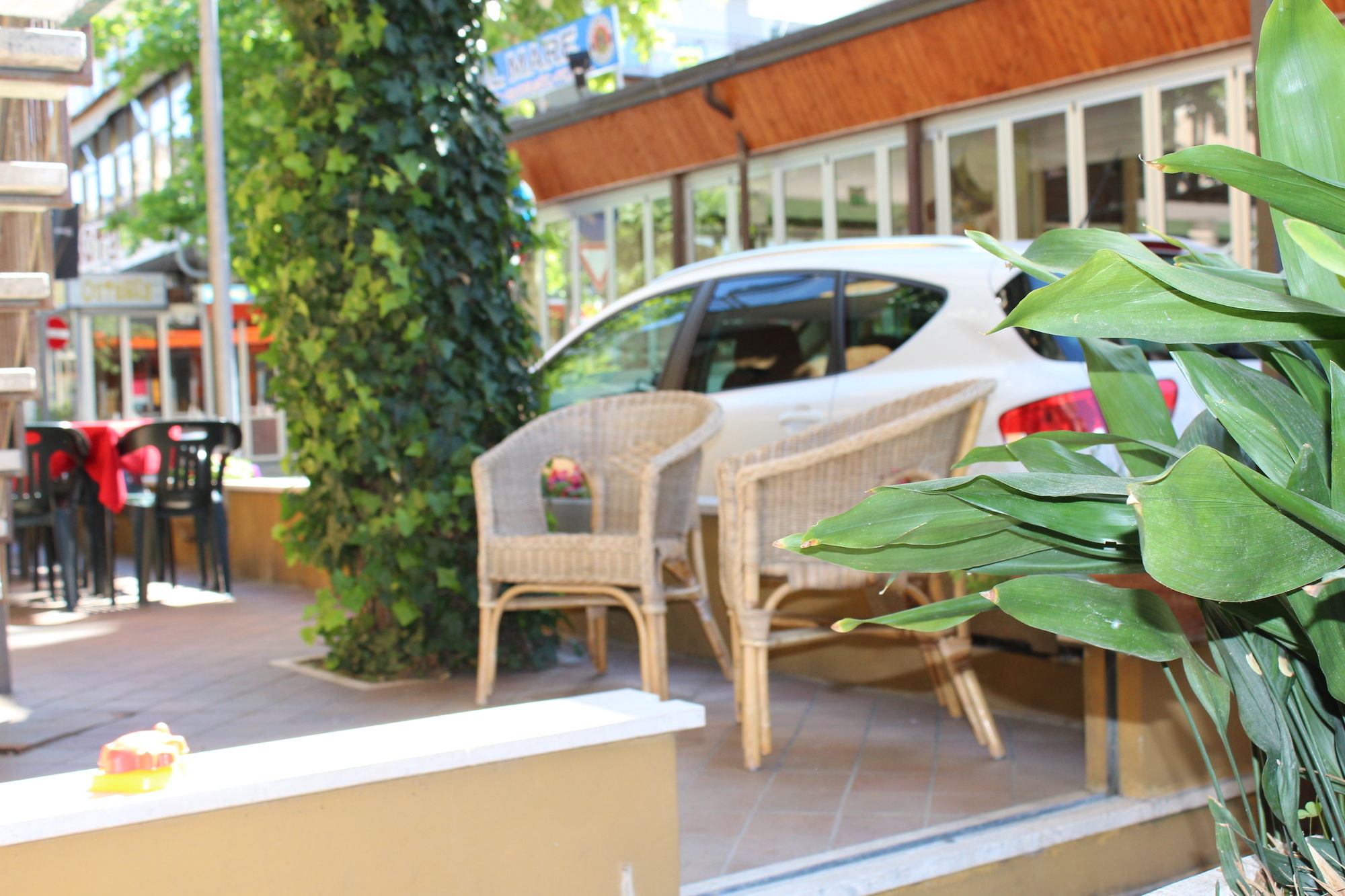 Фото Hotel Amados