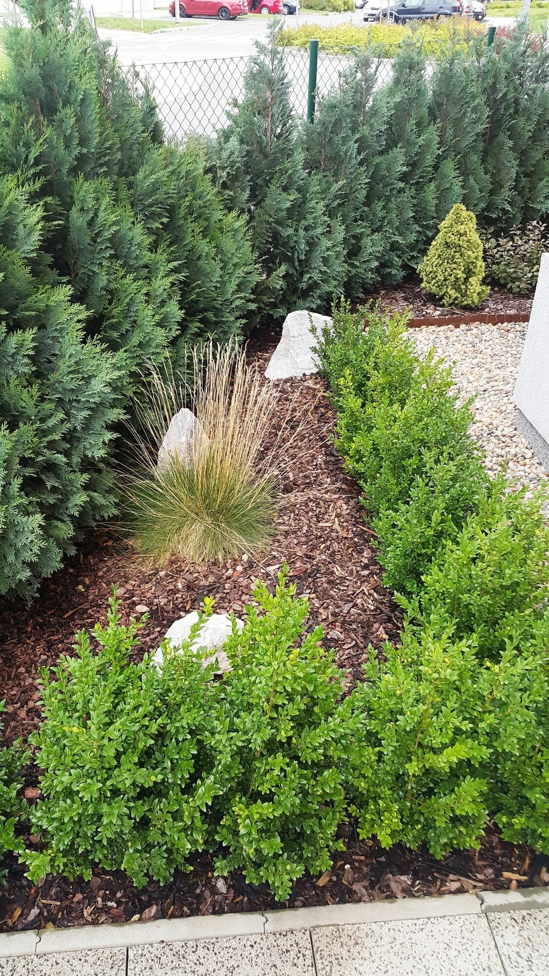 Фото Bastien Studio near Airport