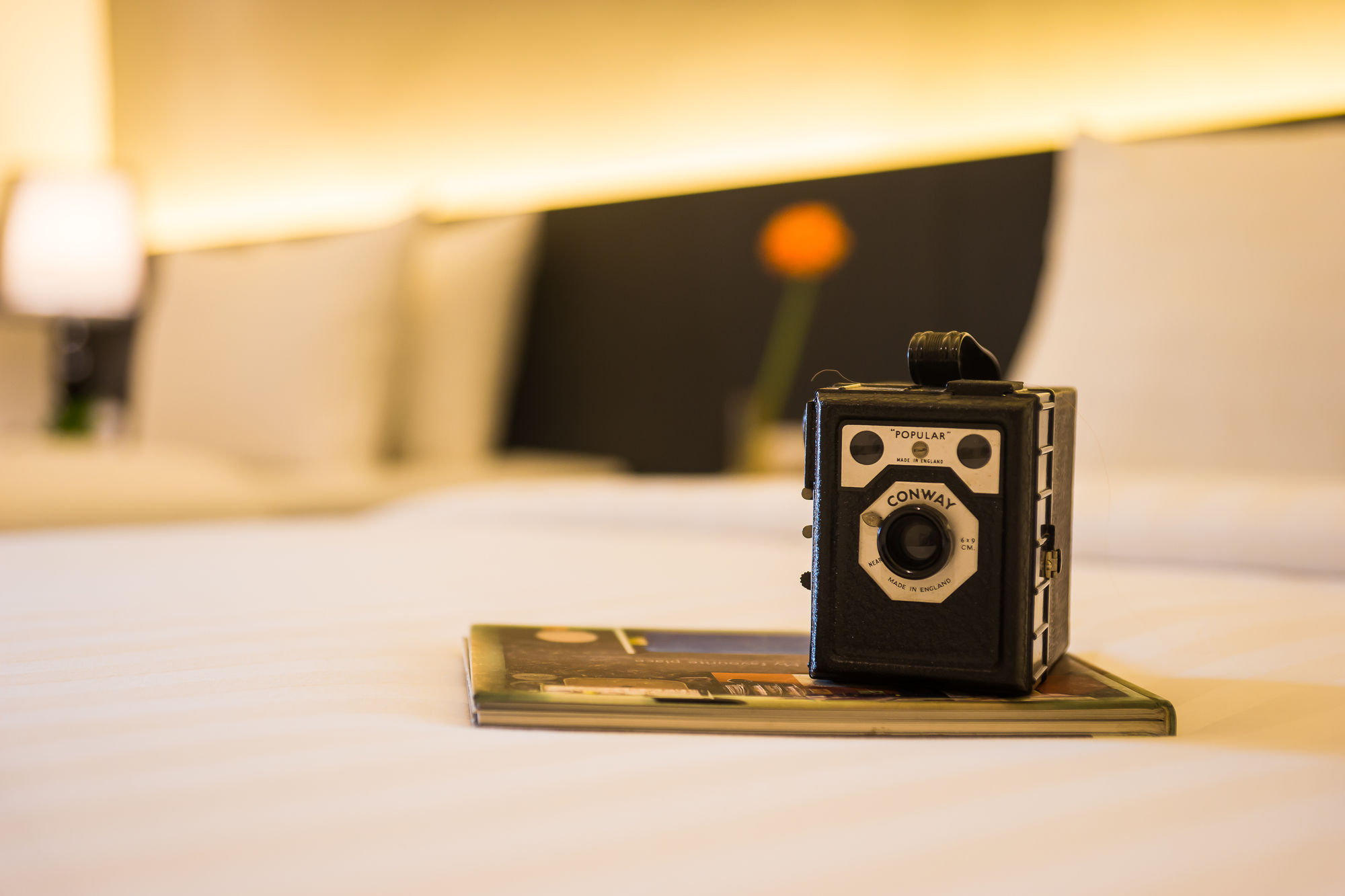 Фото Ivory Villa City