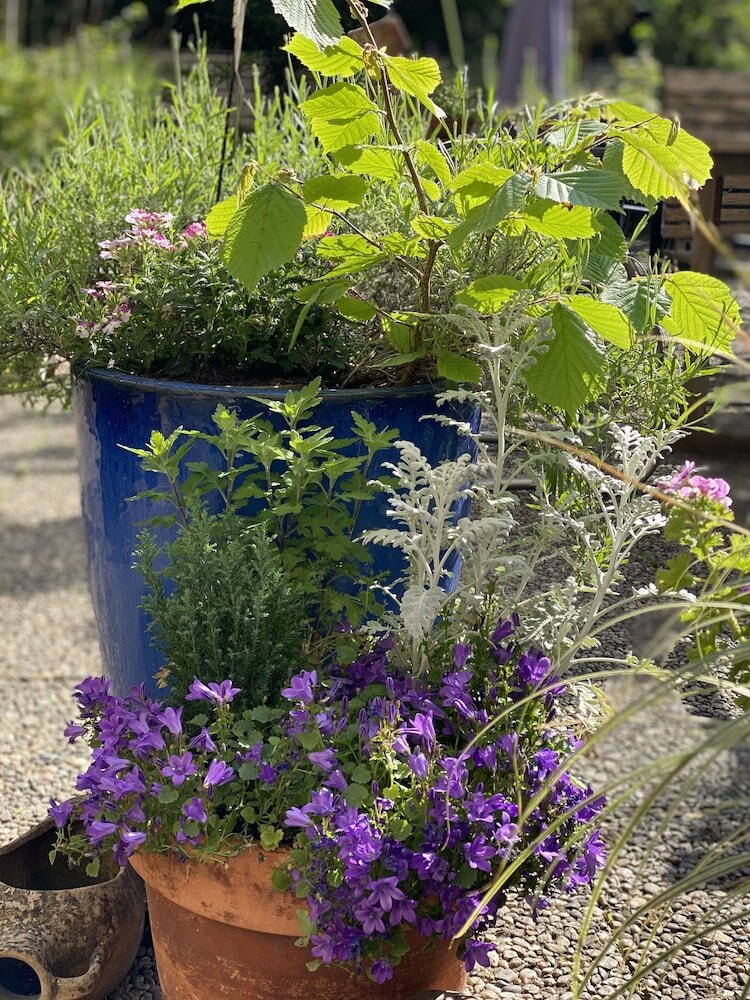 Фото Hotel Cascade