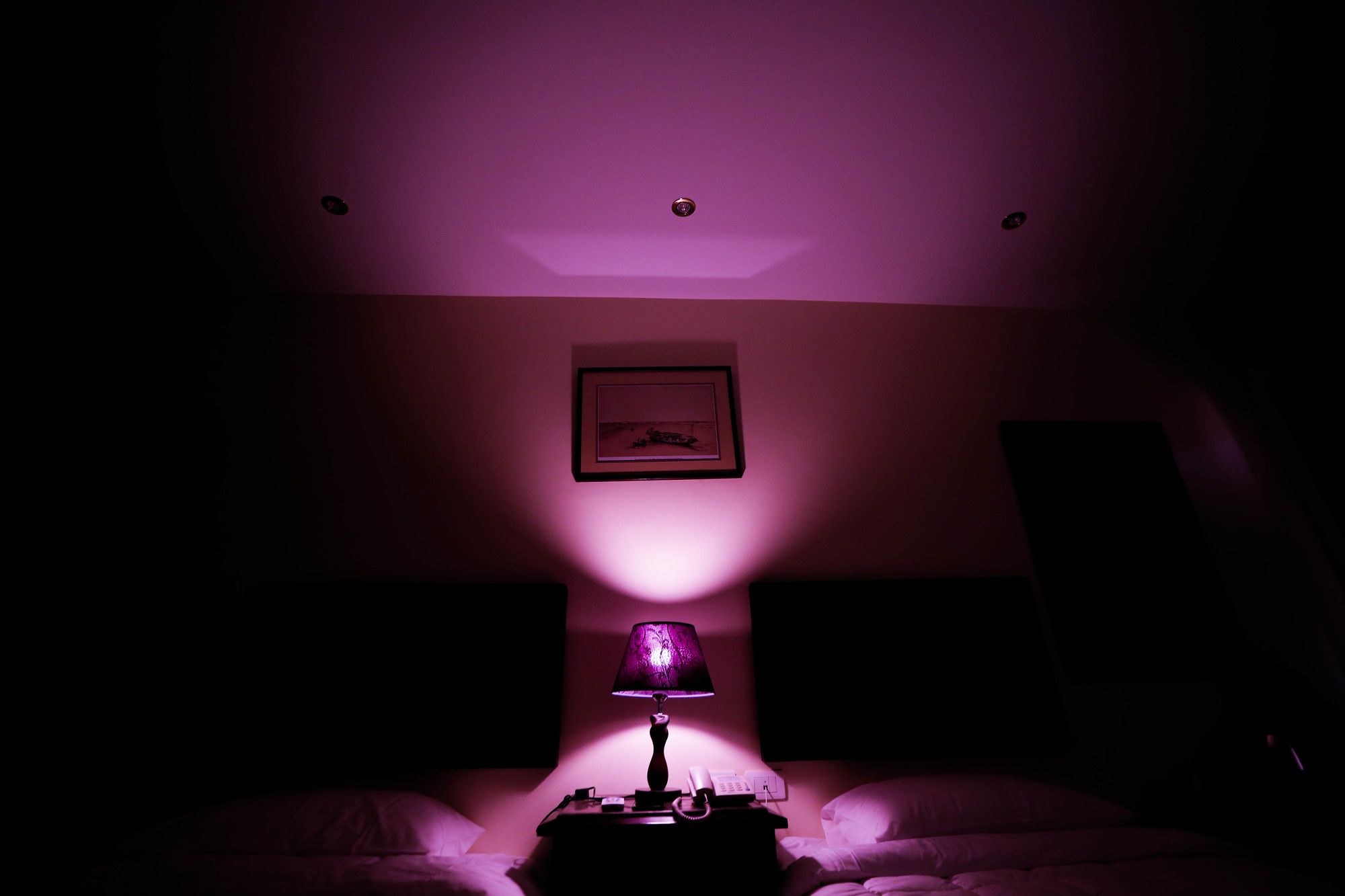 Фото Sphinx Golden Gate Inn