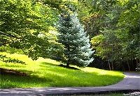 Фото Westfields Marriott Washington Dulles