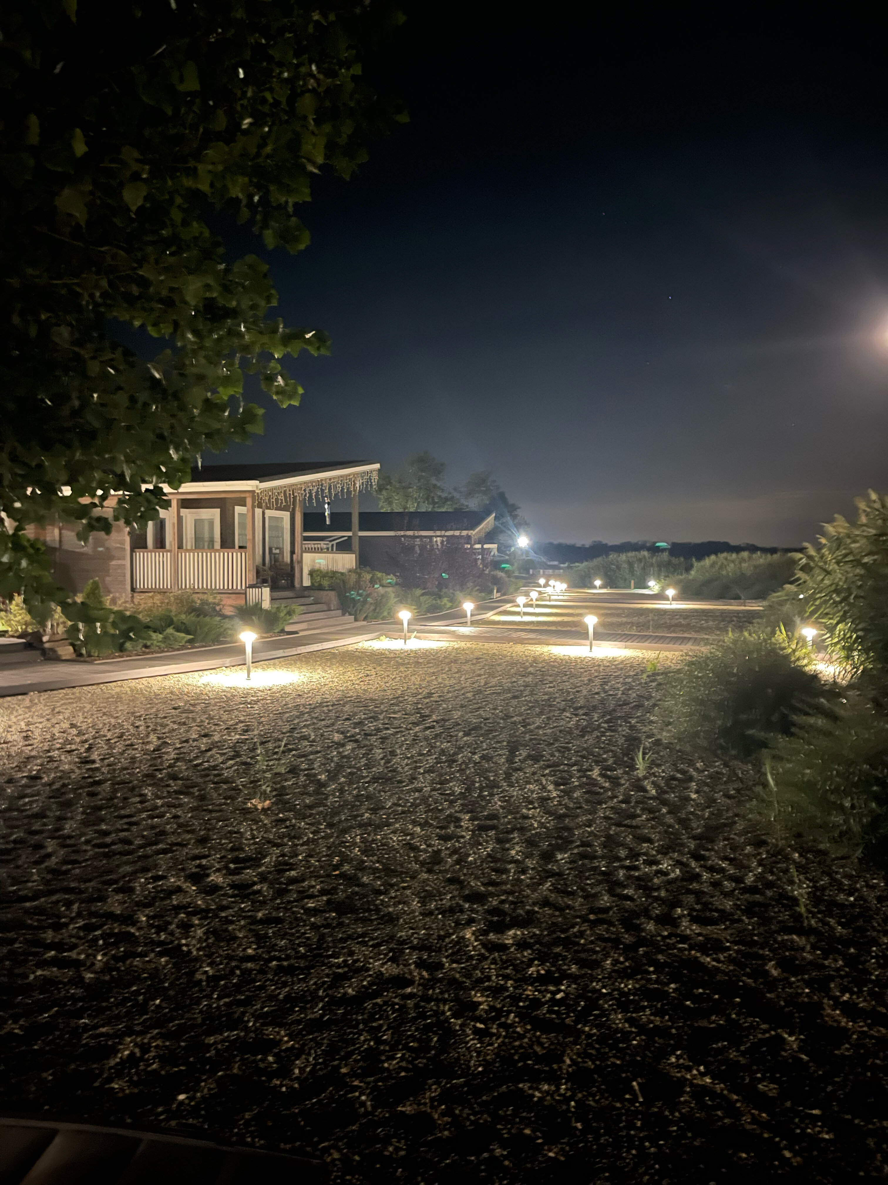 Фото Феникс