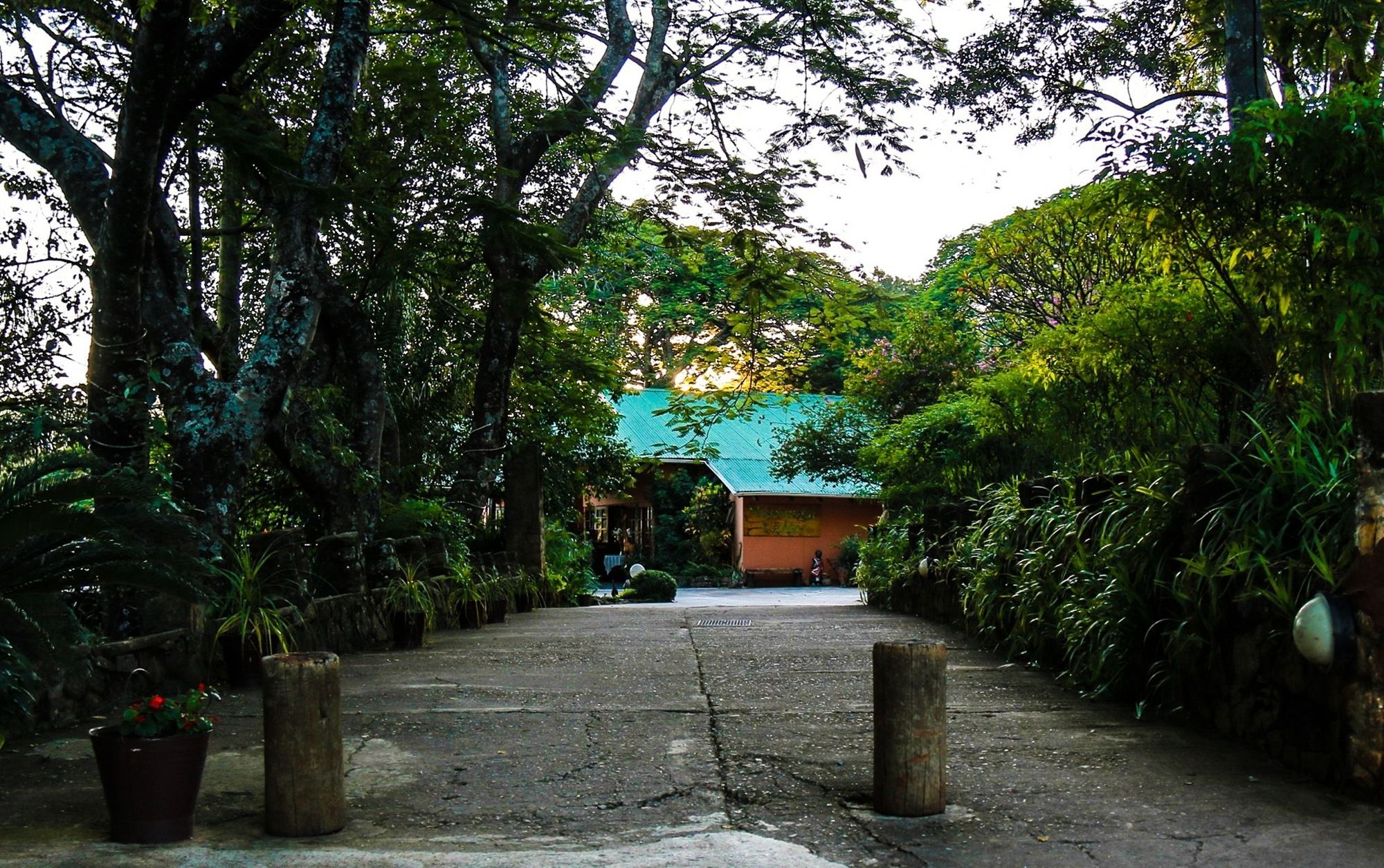 Фото Mantenga Lodge