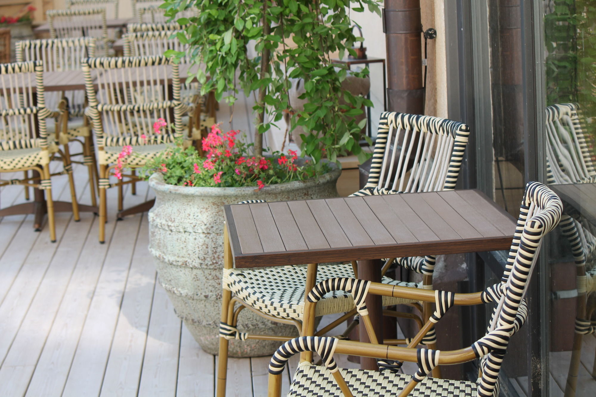 Фото SUNLIGHT Hotel Conference and SPA