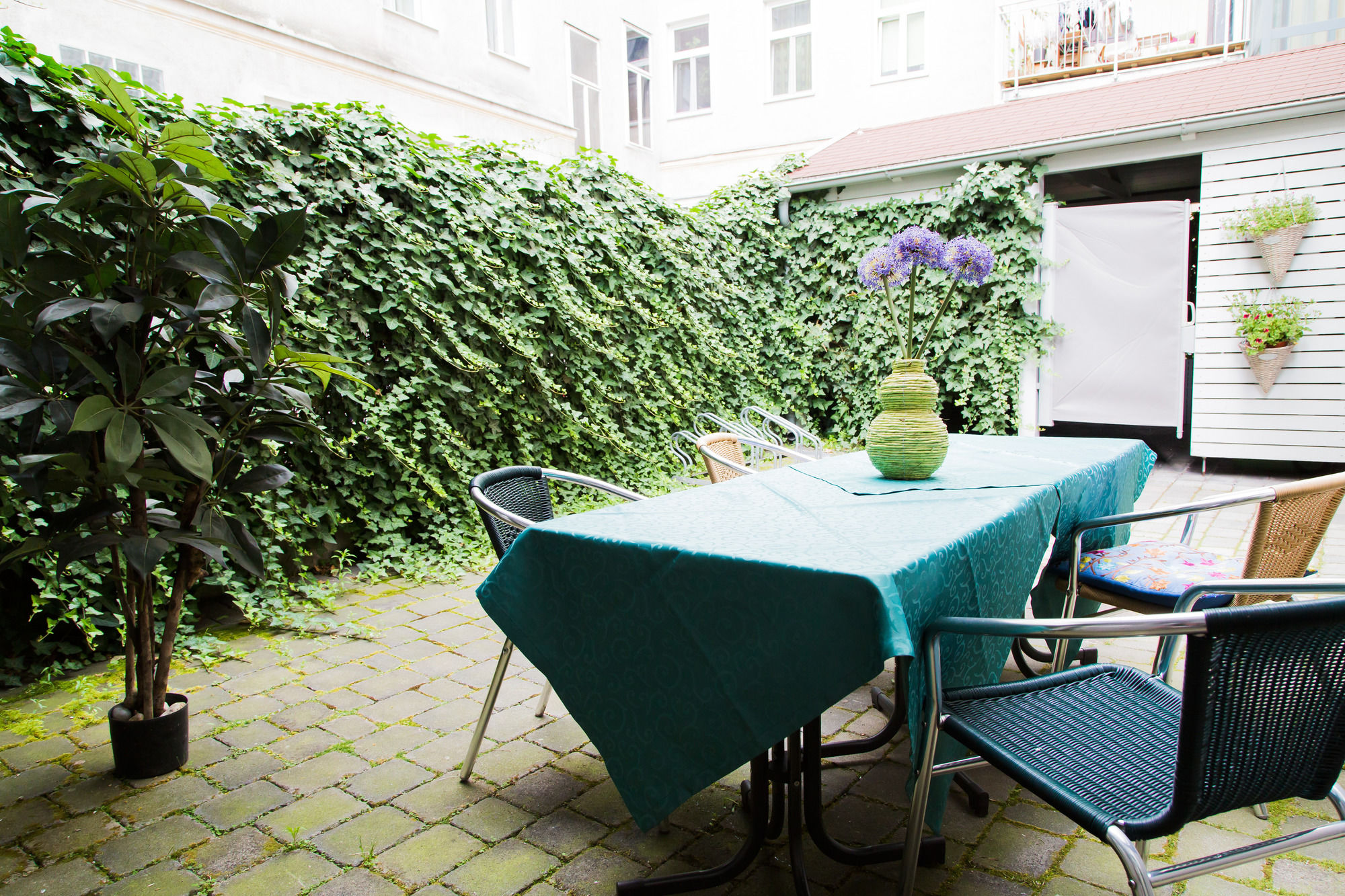 Фото Odeon Hotel