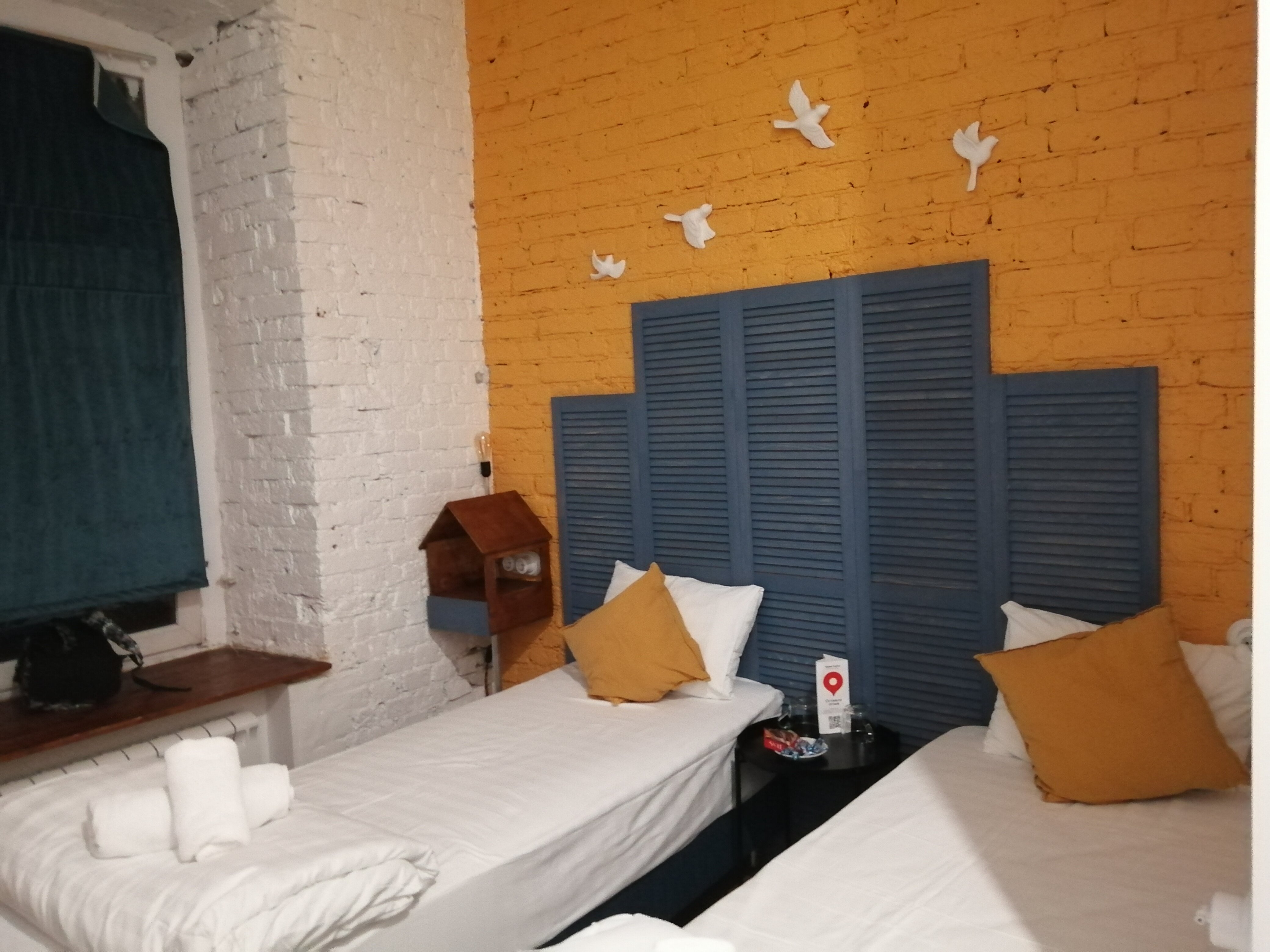 Фото Птица-Синица