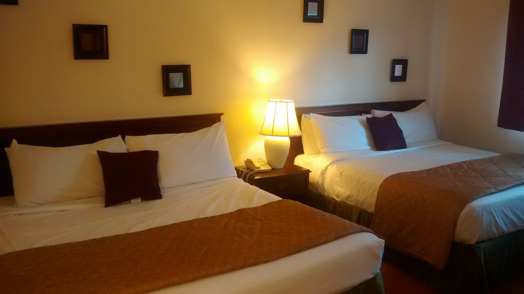 Фото Hyannis Plaza Hotel