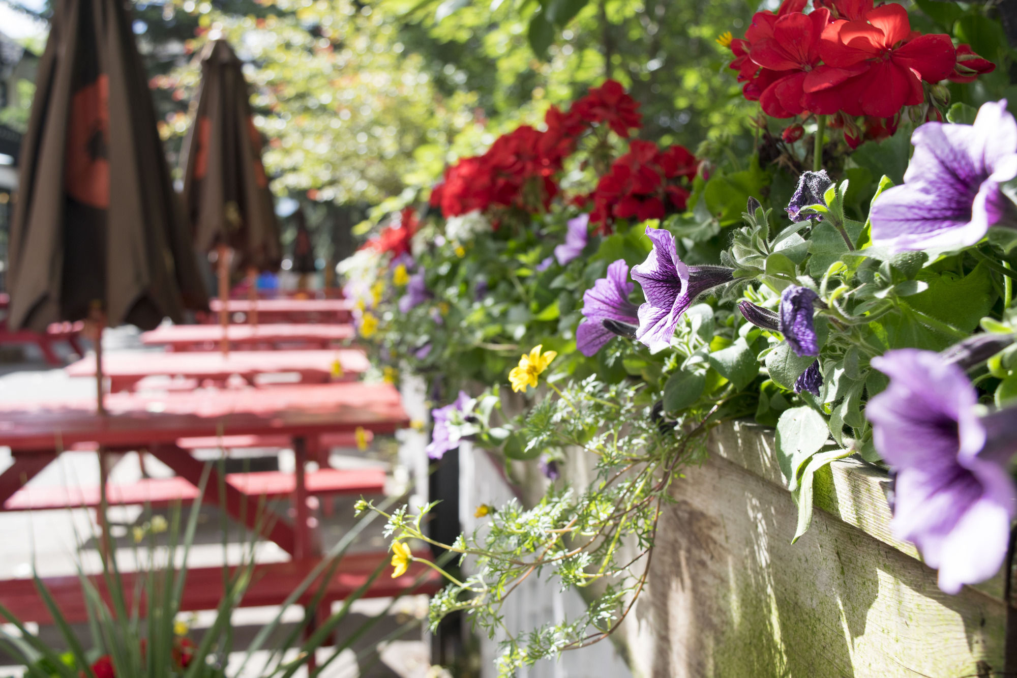 Фото The Georgetown Inn