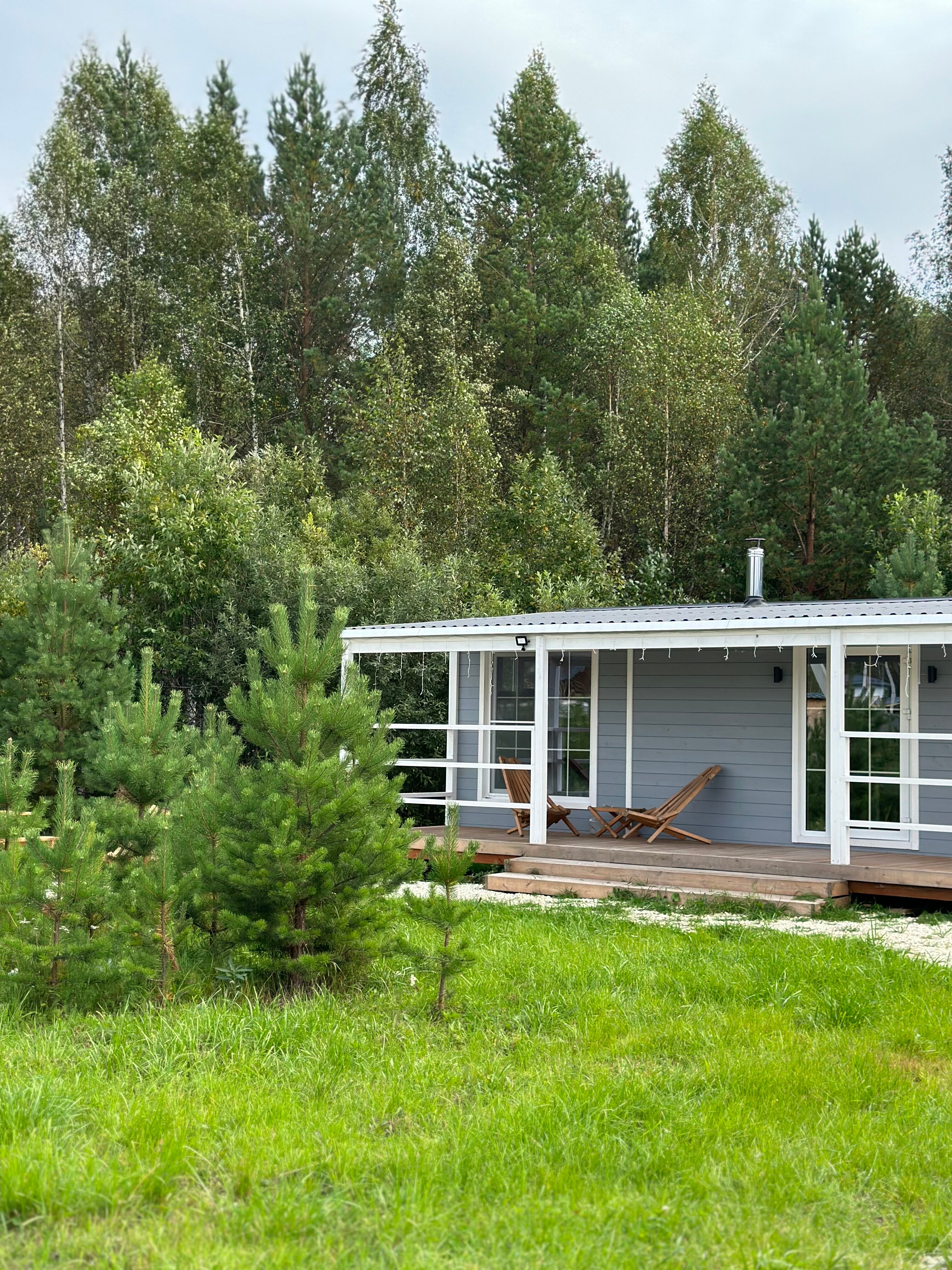 Фото Forest time