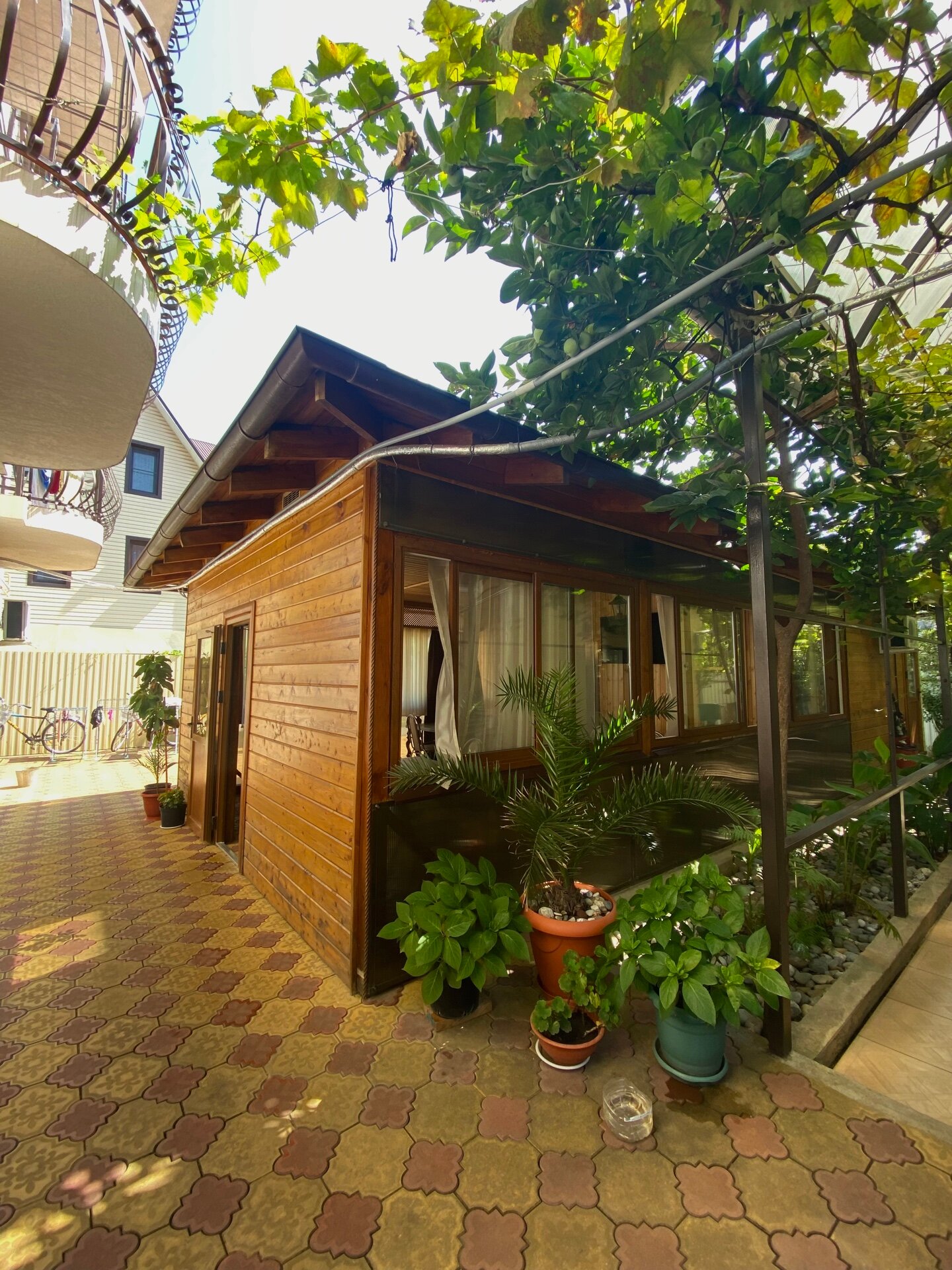 Фото Александра