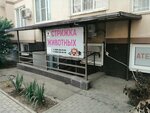 Бонифаций (Seleznev Street, 4/10), salón de mascota, peluquería de animales