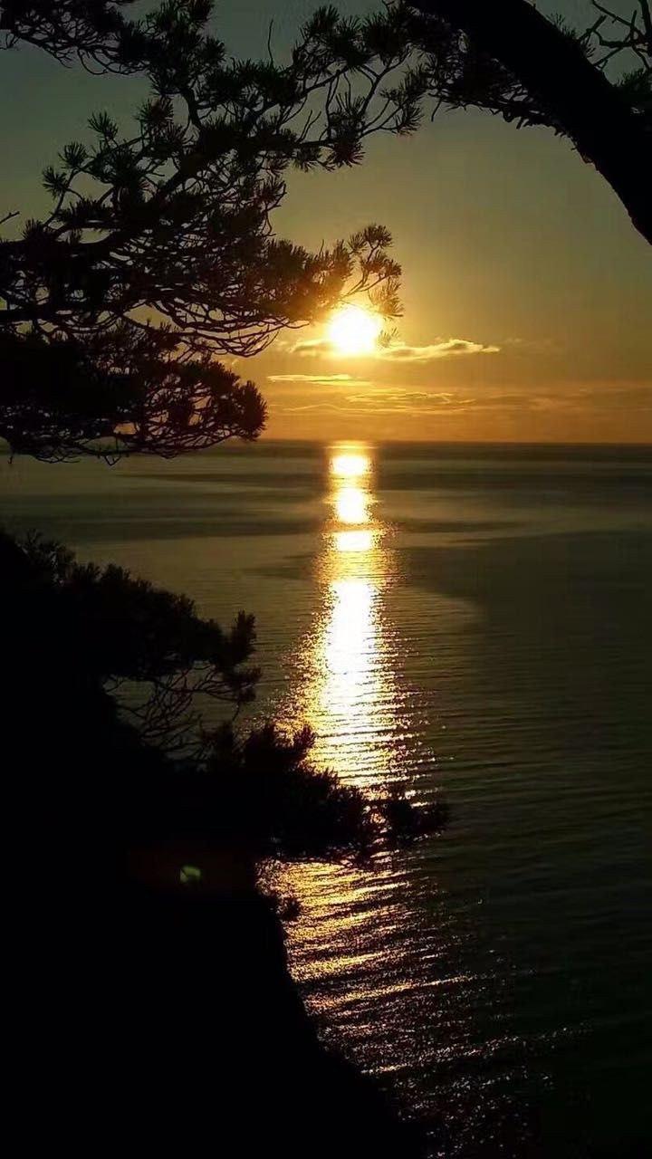 Фото Гавань Листвянка