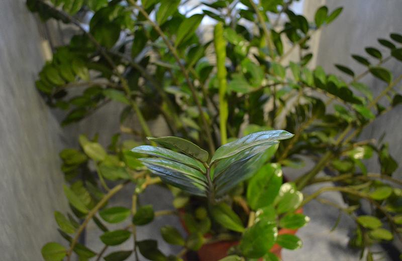 Фото У Палыча