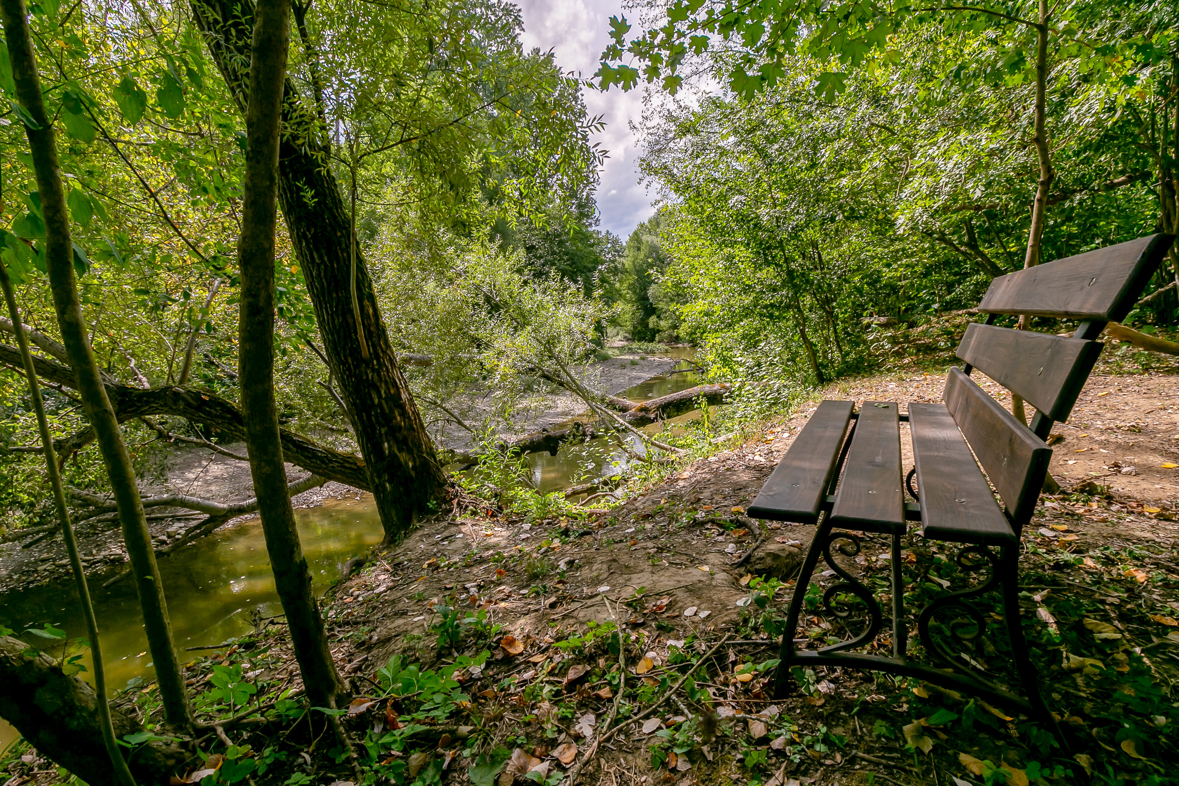 Фото Шелест