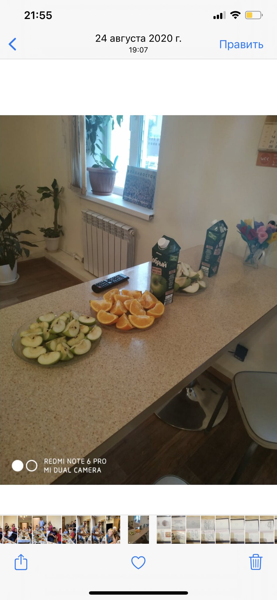 Фото Дружба