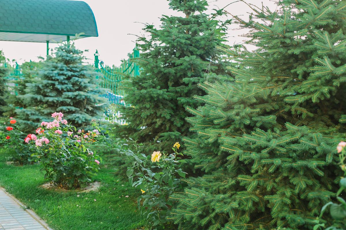 Фото Тихий Дон