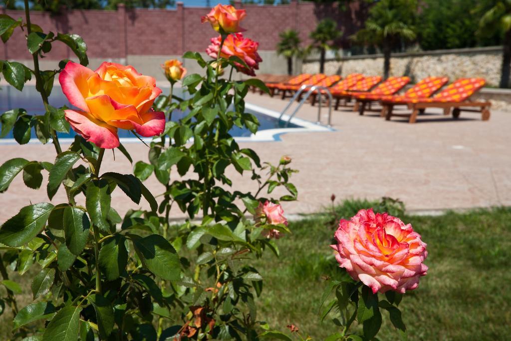 Фото Ривьера