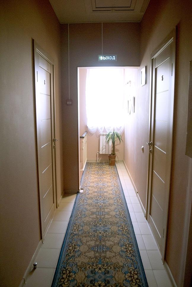 Фото Абрикос